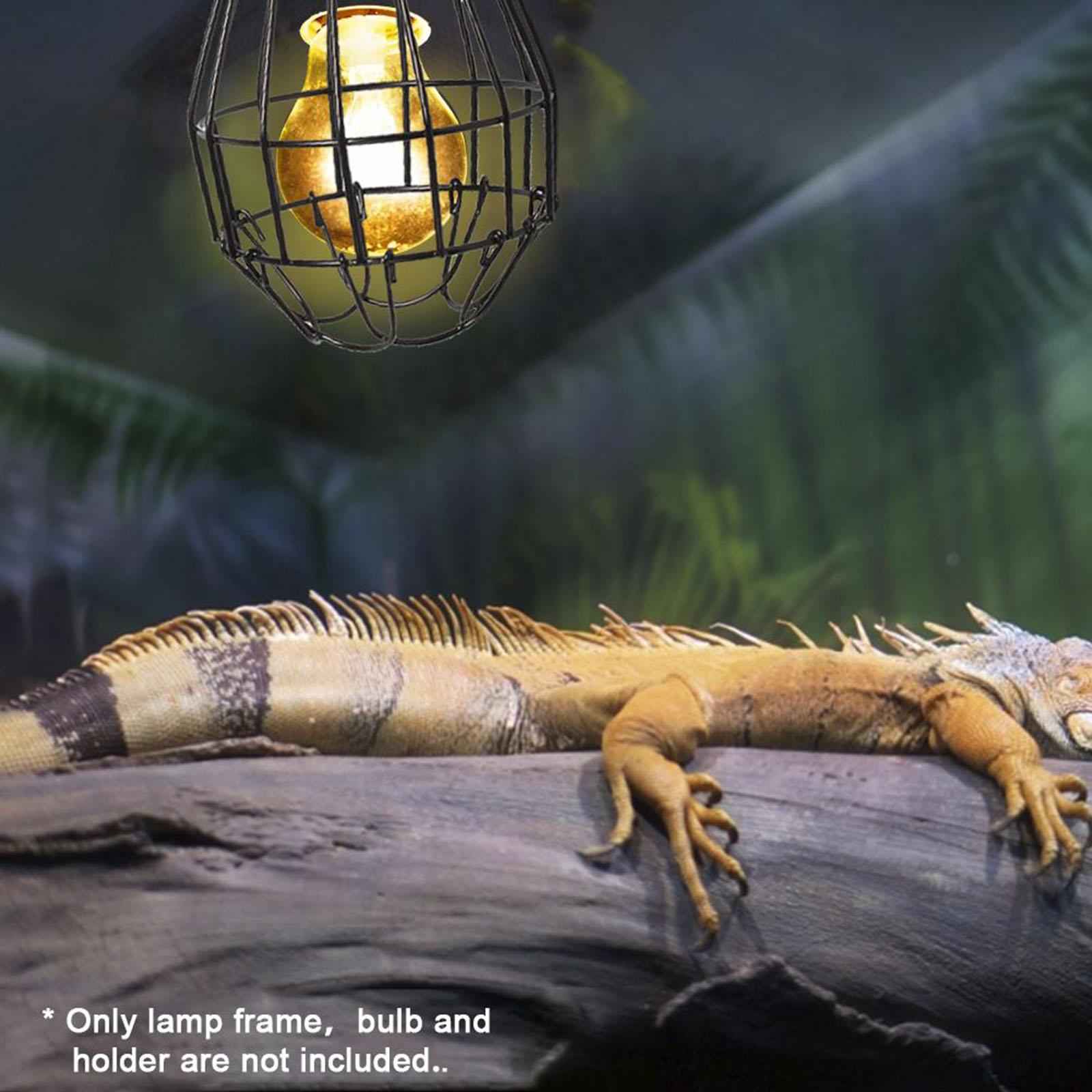 Reptile Heating Anti Scald Lamp Bulb for Bird