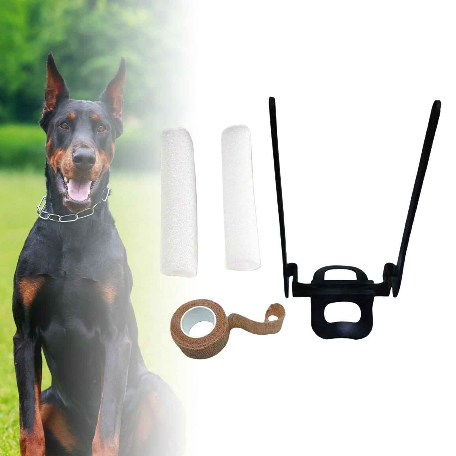 Dog Ear Stand Medium Large Dog Ear Corrector Dog Ears Upright Care Tools Ear Stand Strap