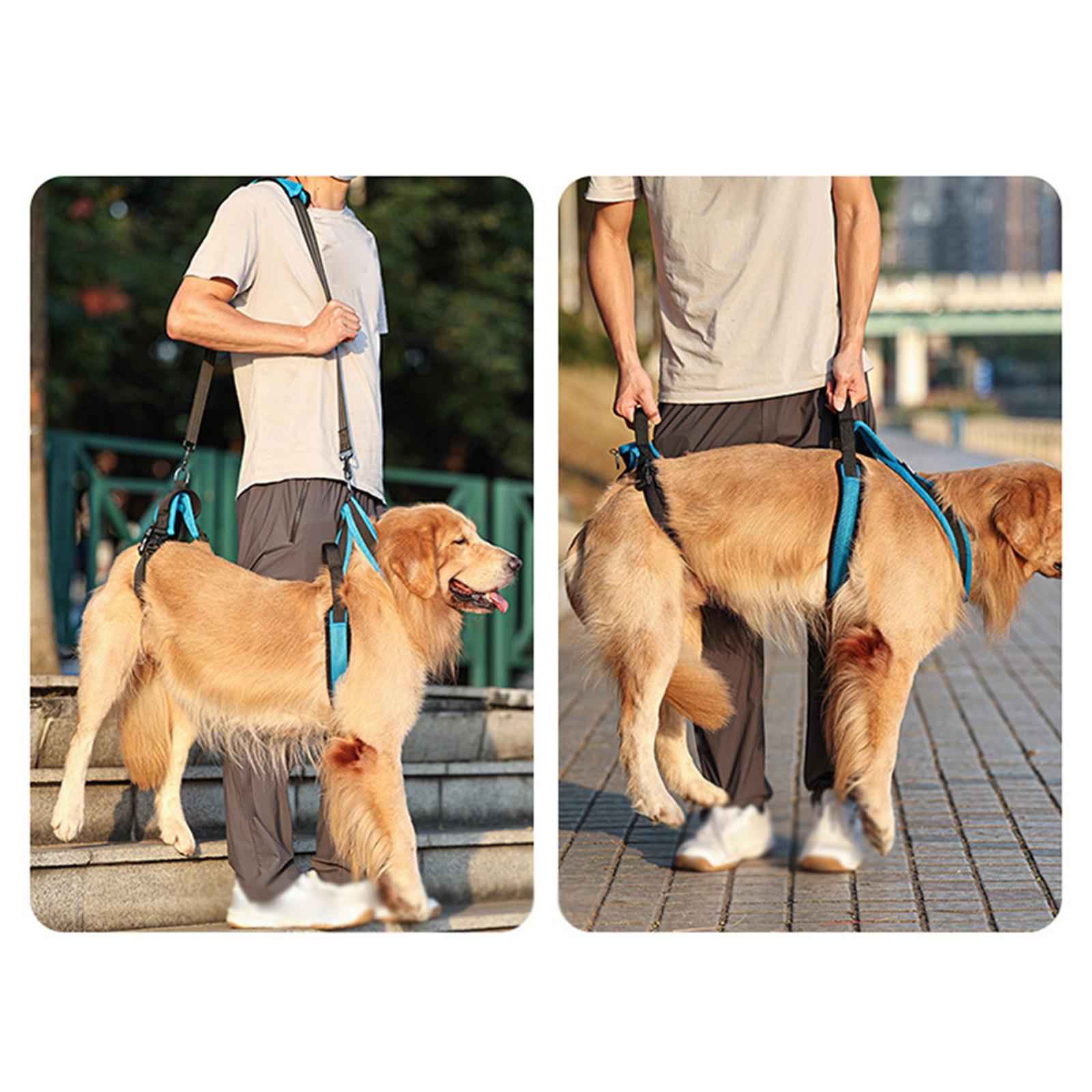 Padded Dog Lift Harness Support Sling Lifter with Handle Walk Full Body L