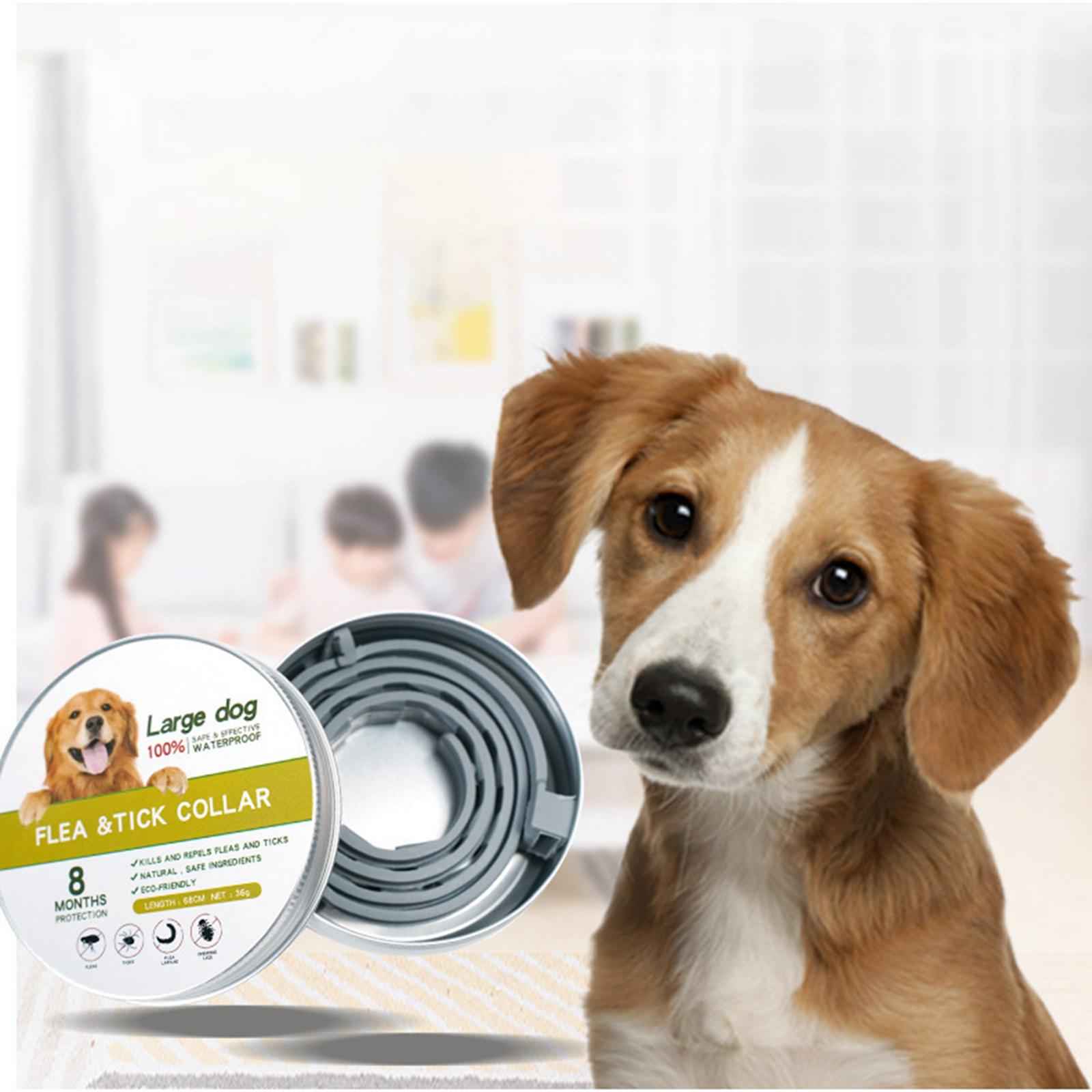 Anti Flea and Tick Neck Kitten Portable 8 Months Protection Dogs Flea Collar blue 70cm