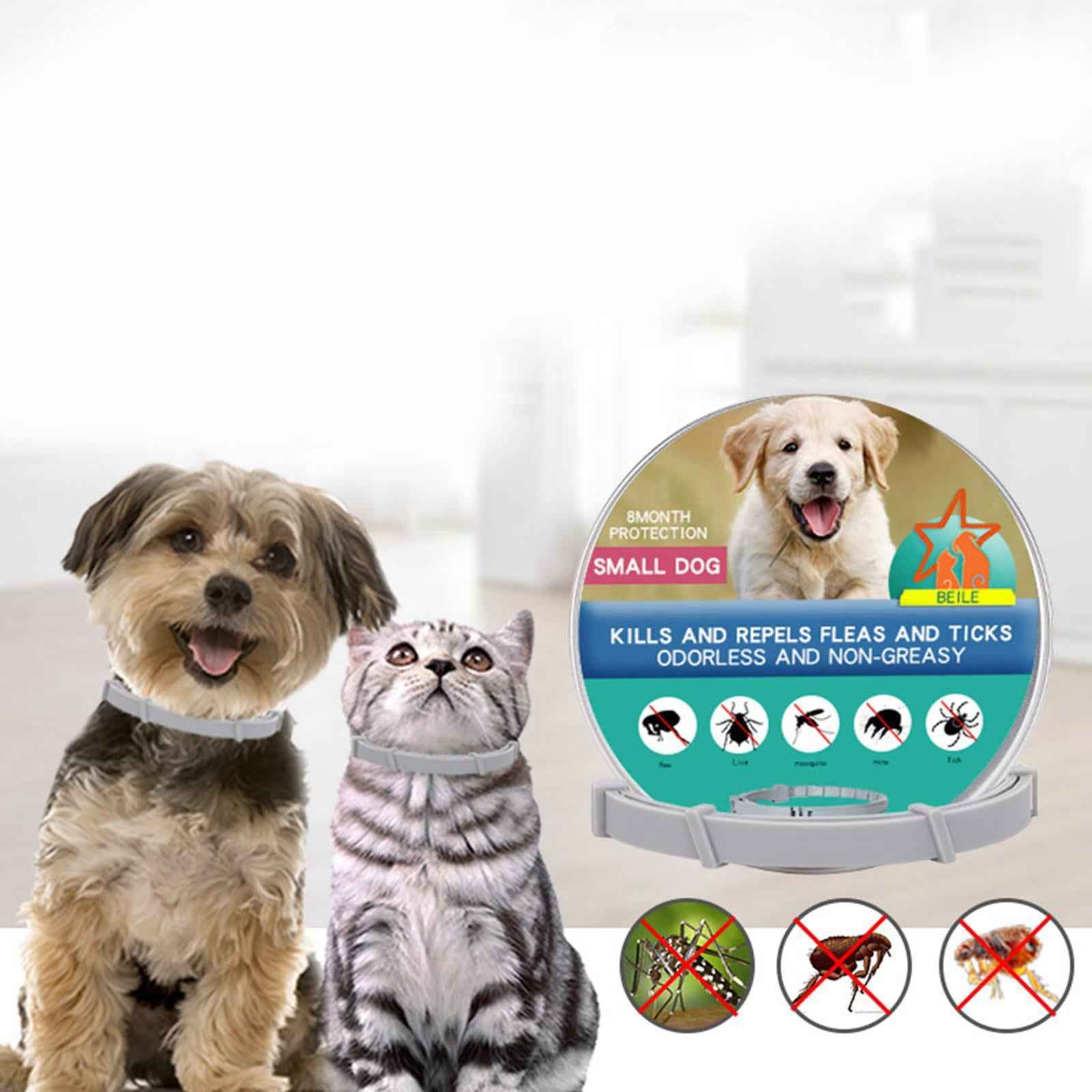 Anti Flea and Tick Neck Kitten Portable 8 Months Protection Dogs Flea Collar blue 70cm