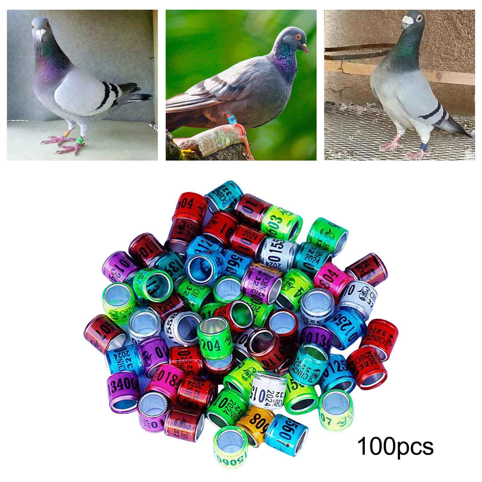 100x Dove Foot Bands Durable Bird Pigeon Leg Rings for Lovebird Duck Poultry Multi Color