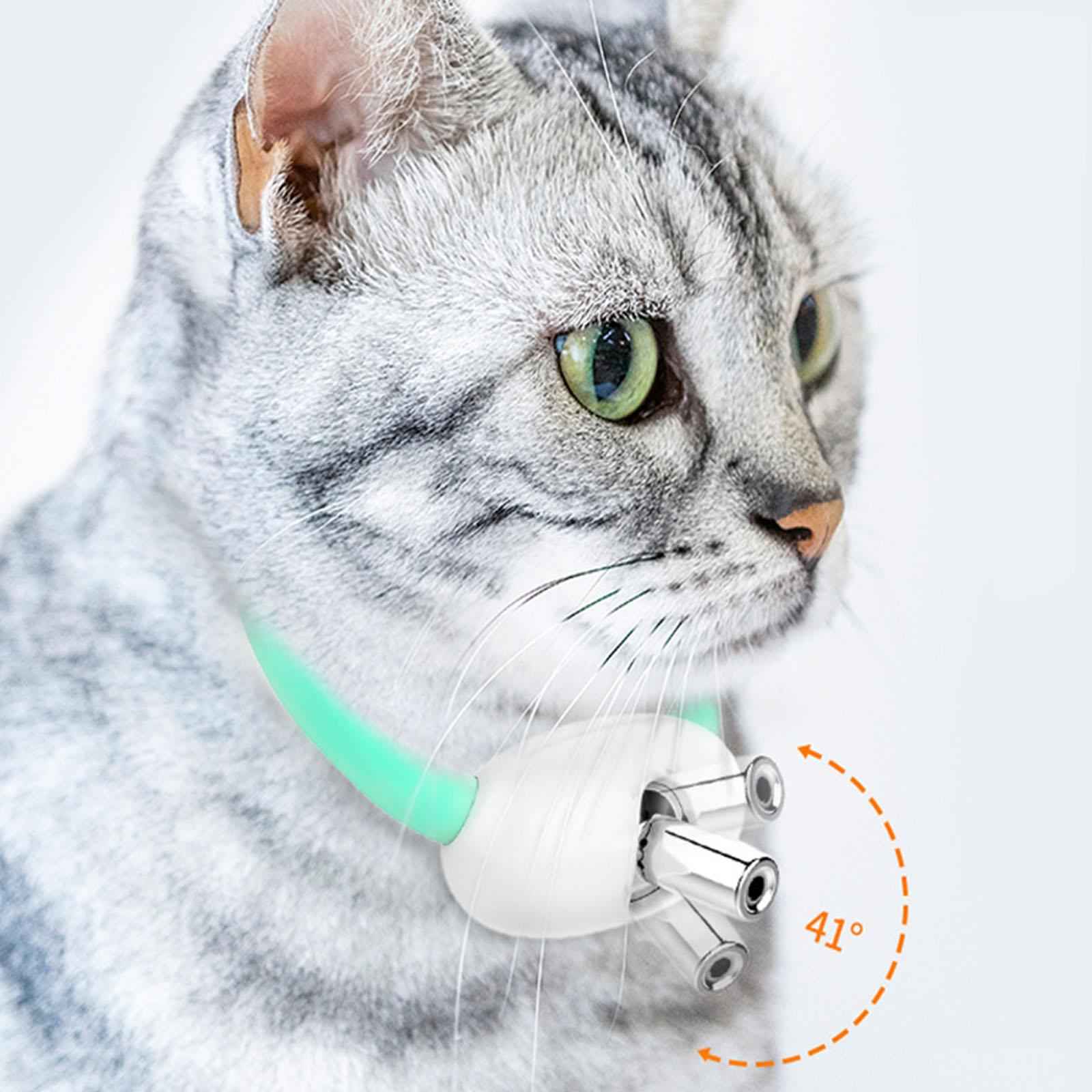 Teaser Cat Collar Pet Exercise Toys for Small, Medium and Large Cats Working