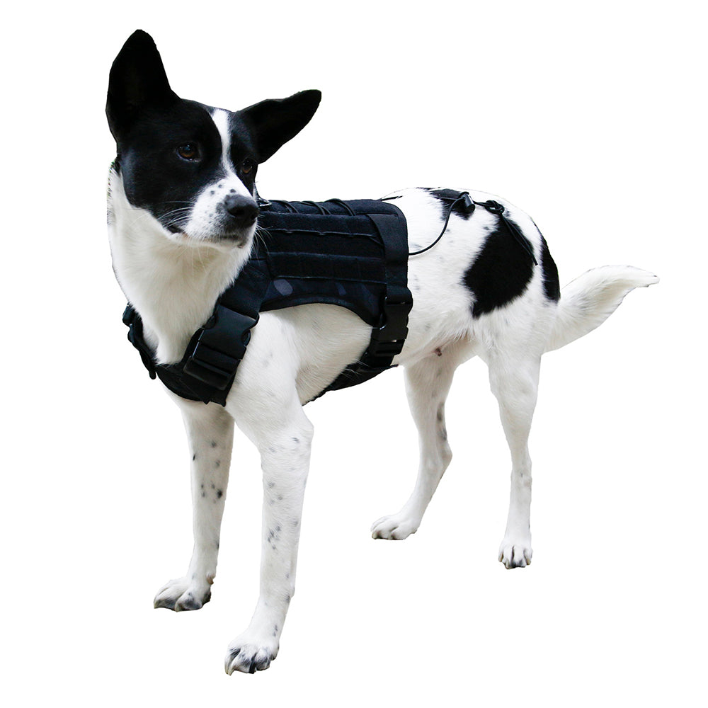 Camouflage Molle Dog Vest Leash Pet Traction Rope Dog Training Walking Lead Leash, Size: M - Black