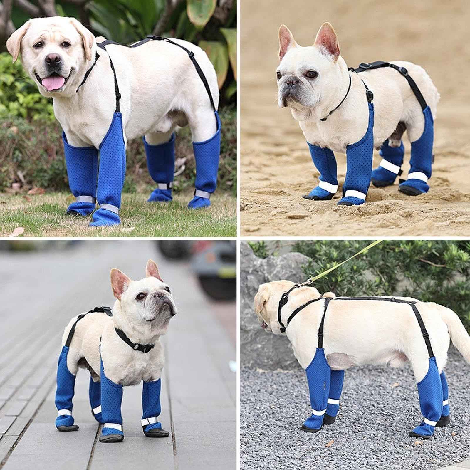 Dog Suspender Boots Paw Protectors with Auxiliary Strap for Outdoor Pets Gift S