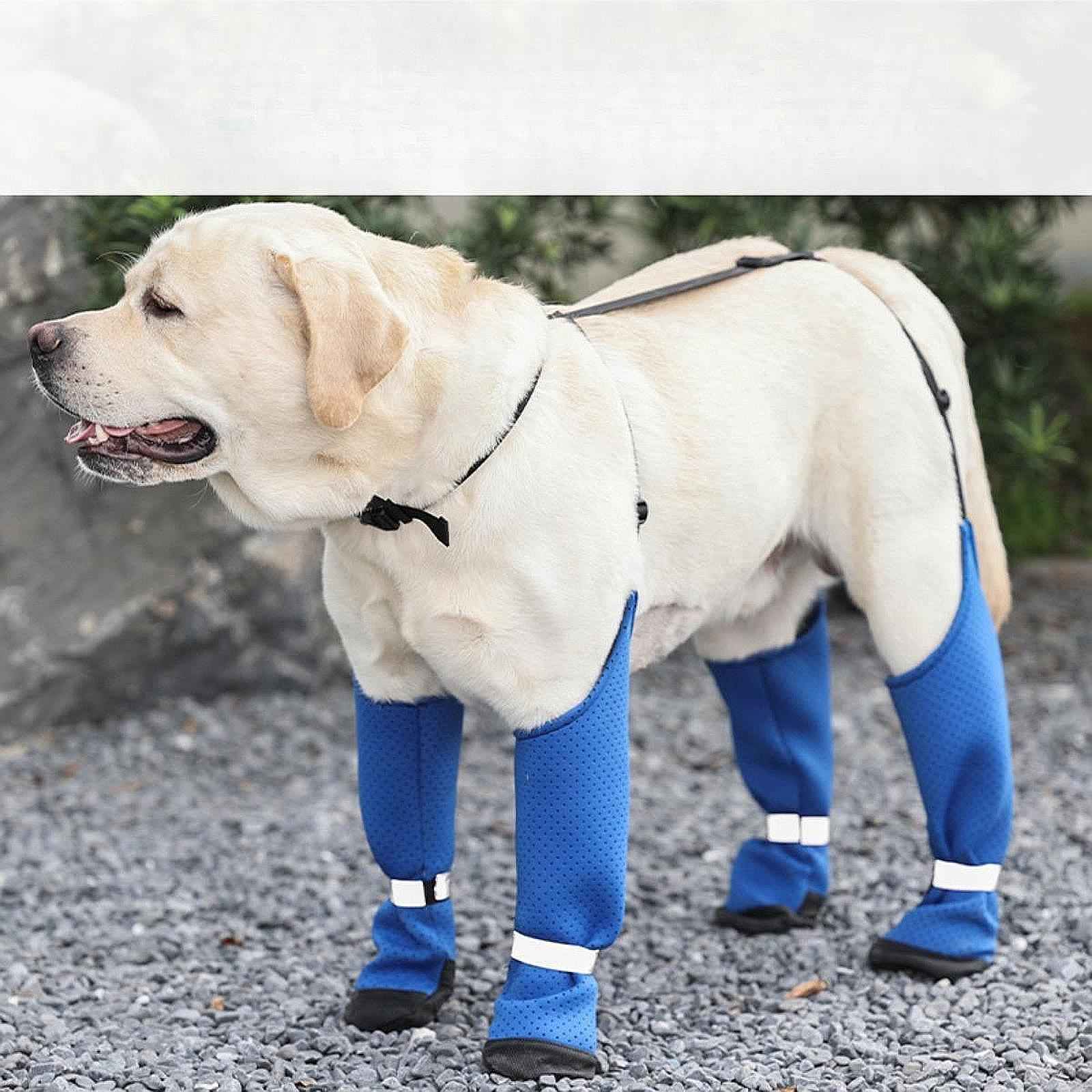 Dog Suspender Boots Paw Protectors with Auxiliary Strap for Outdoor Pets Gift S