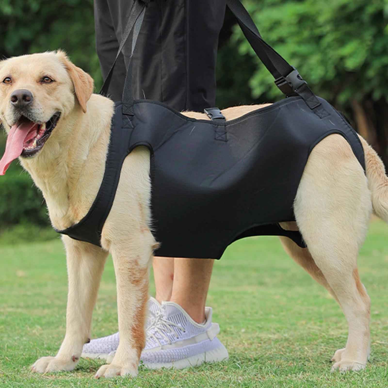 Pet Dog Lift Harness Outdoor Lifts Vest Recovery for Dogs Walk Nail Trimming S