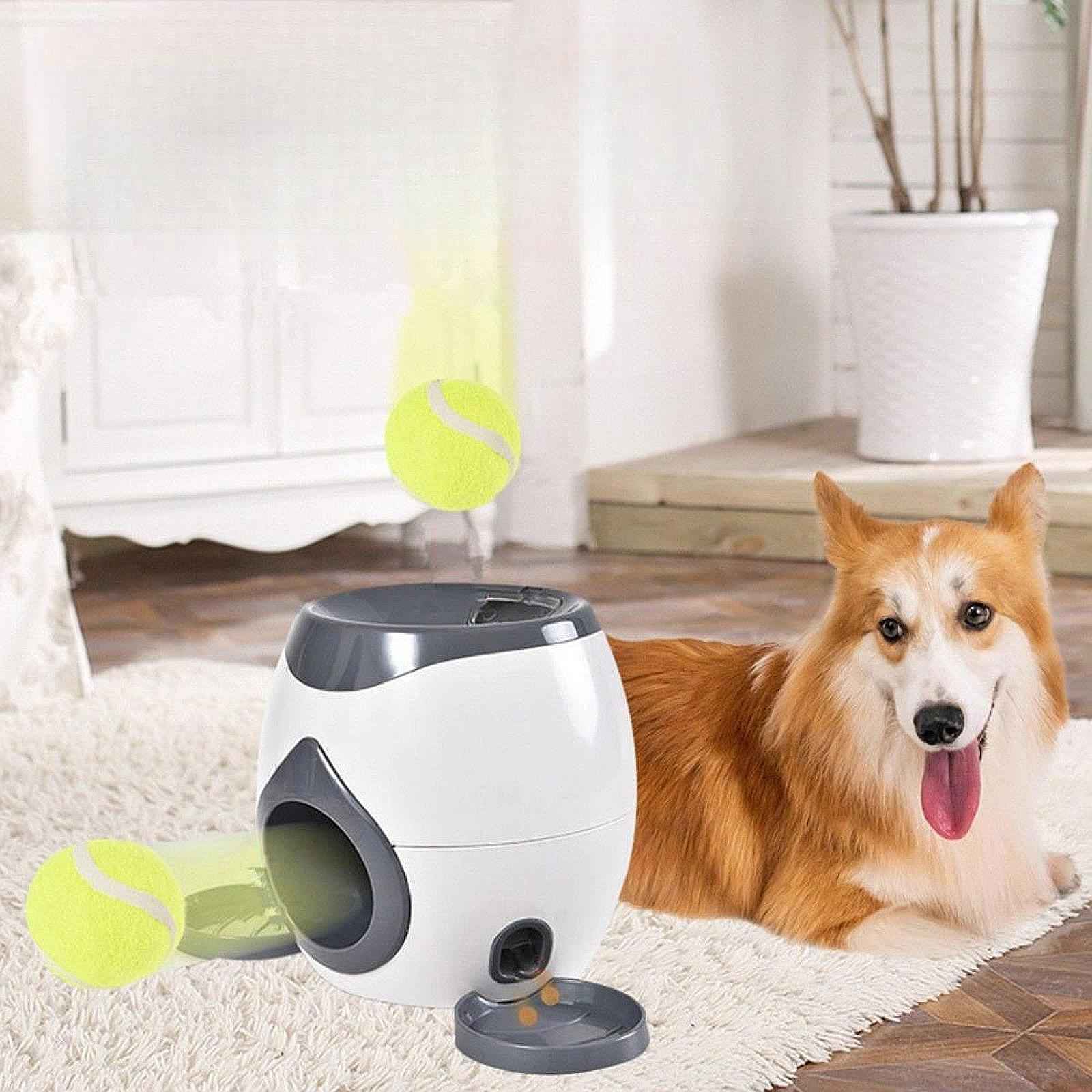 Training Reward with Balls Interactive Ball Tennis Dog Ball Launcher light grey