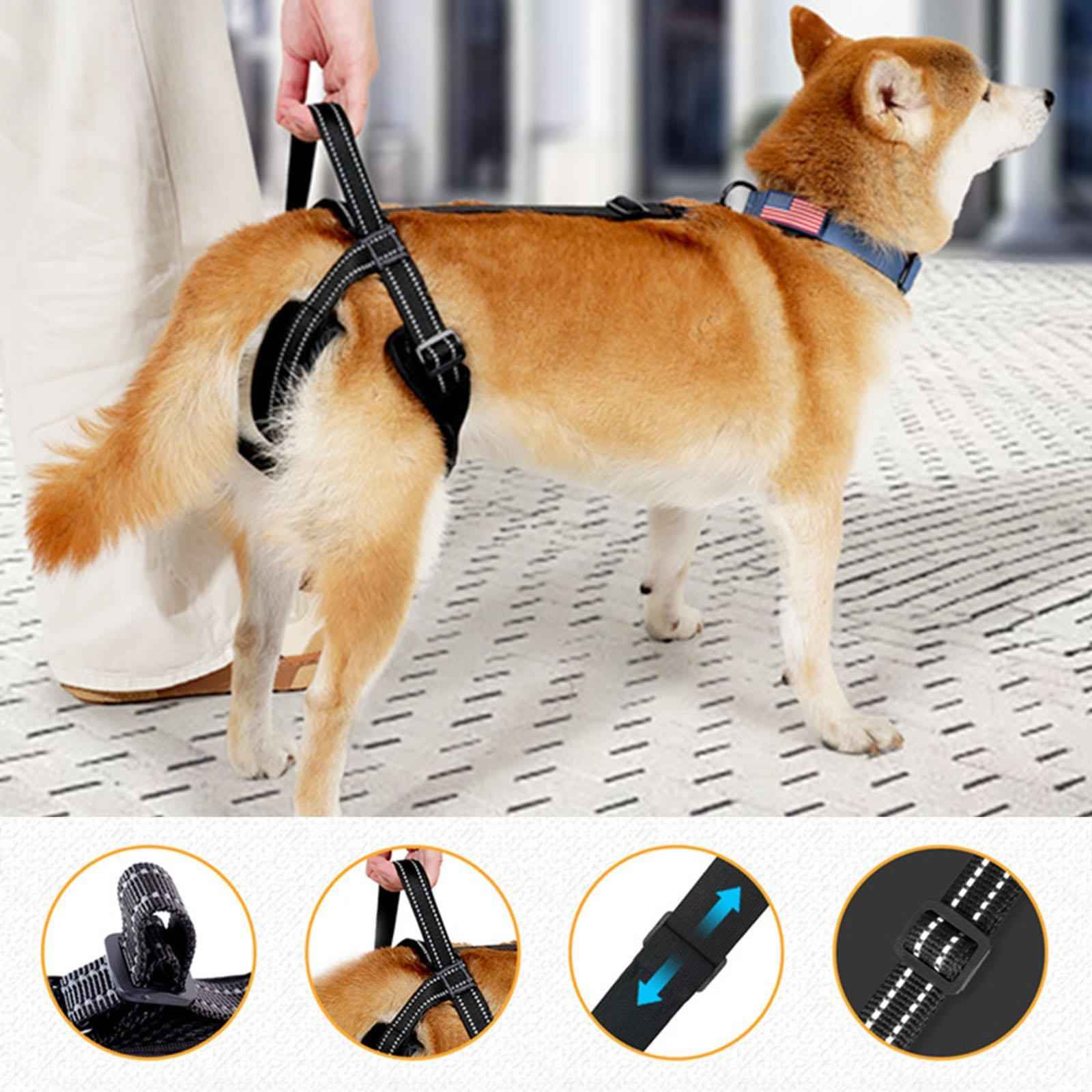 Dog Lift Support Harness Sturdy Hind Leg Support for Disabled Dog Senior Dog L