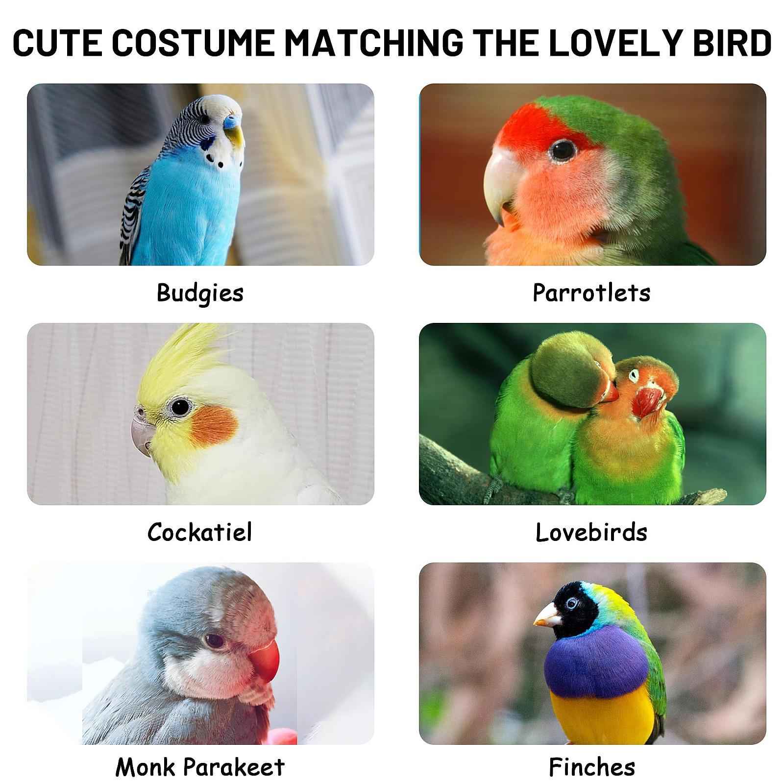 Bird Cape Creative Cute Unique Small Parrot Cloak Cosplay Budgie/budgie Bird blue