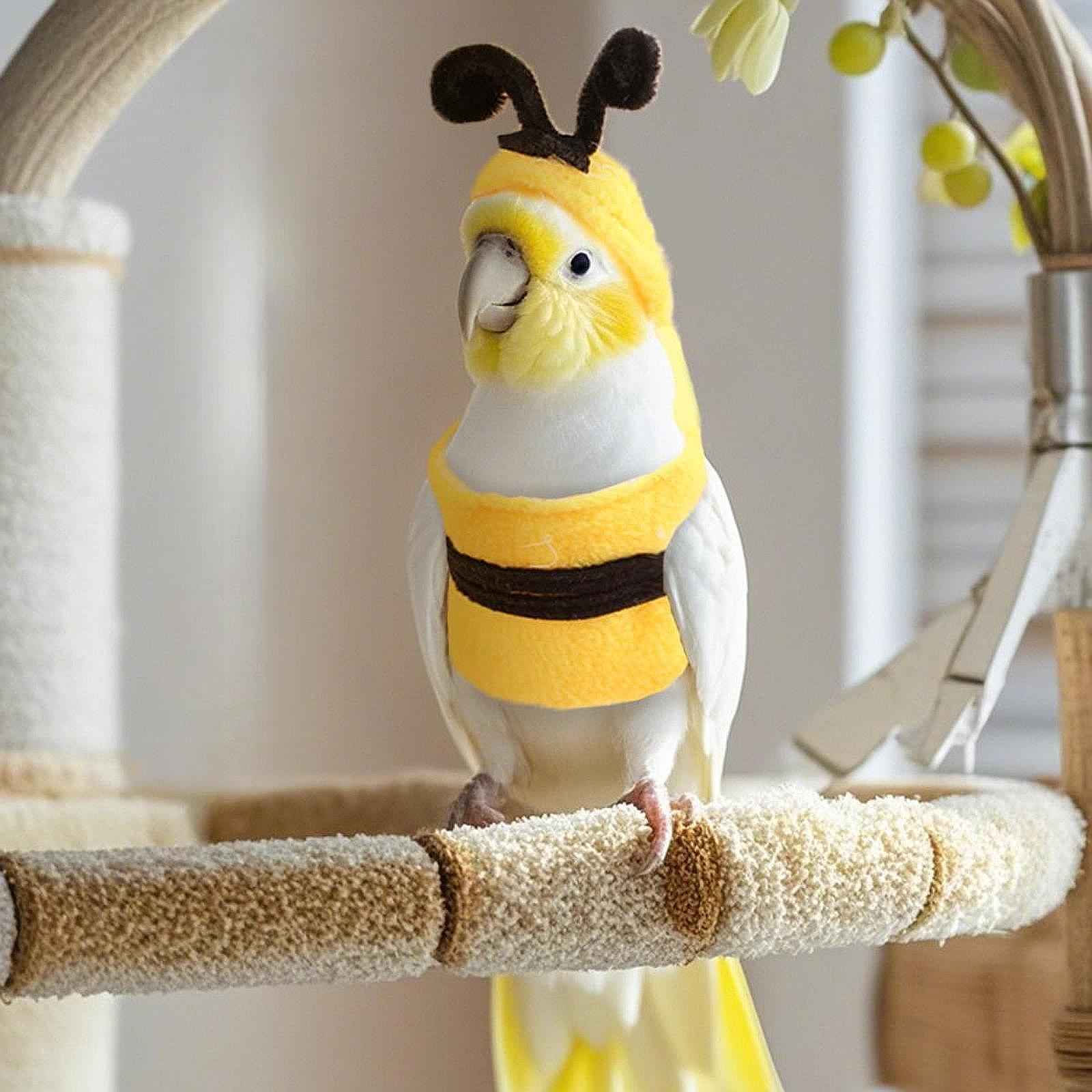 Pet Bird Clothes Bee Shaped Bird Costume for Birthday Parakeet African Greys S