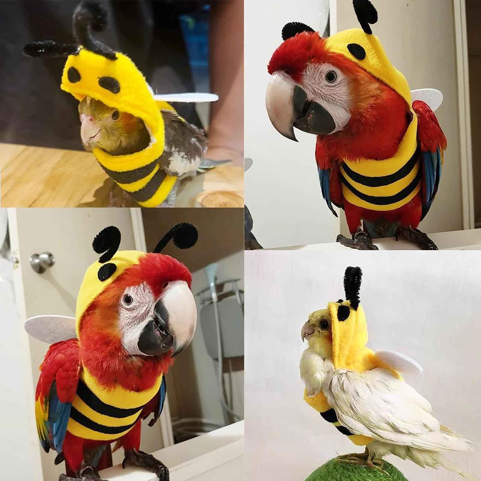 Pet Bird Clothes Bee Shaped Bird Costume for Birthday Parakeet African Greys S