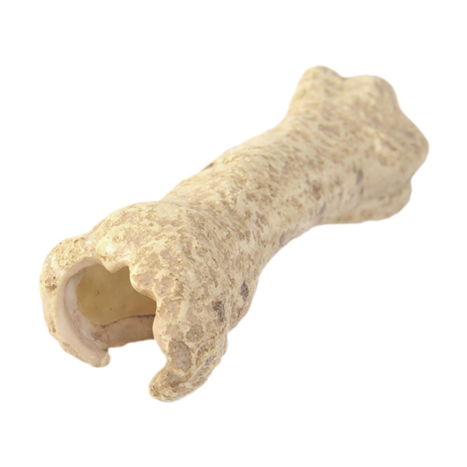 Aquarium Hideout Resin Sculpture Reptile House for Salamanders Cichlid Snake Bone Shape