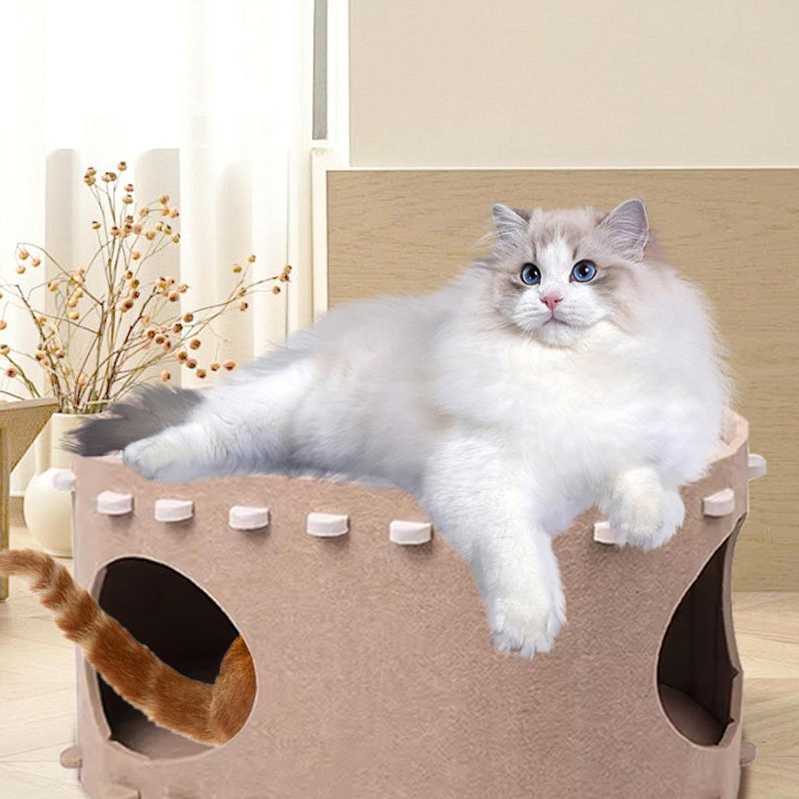 Cat Bed Cave Cat Tunnel Tent Hut Multiple Cats Enclosed Bed Warm Cat House Khaki