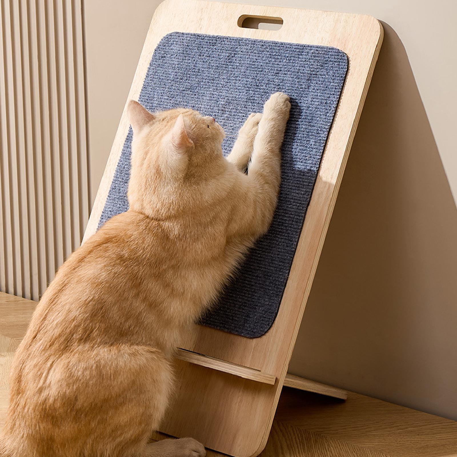 Cat Scratching Board Gift Grind Claws Resting for Kitten Cat Interactive Toy 40cmx60cm