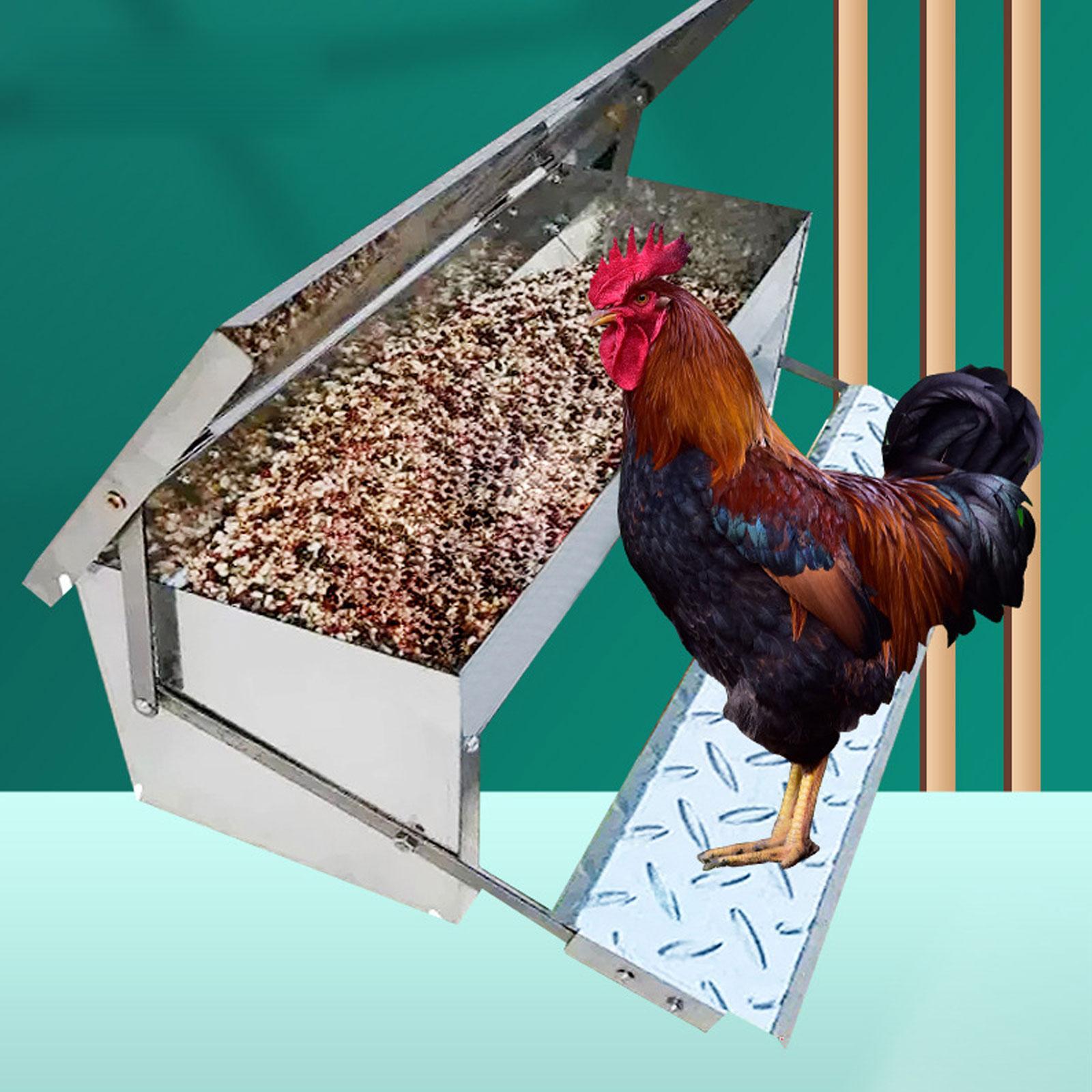 Automatic Chicken Feeder Waterproof Food Dispenser for Farms Turkey Chickens