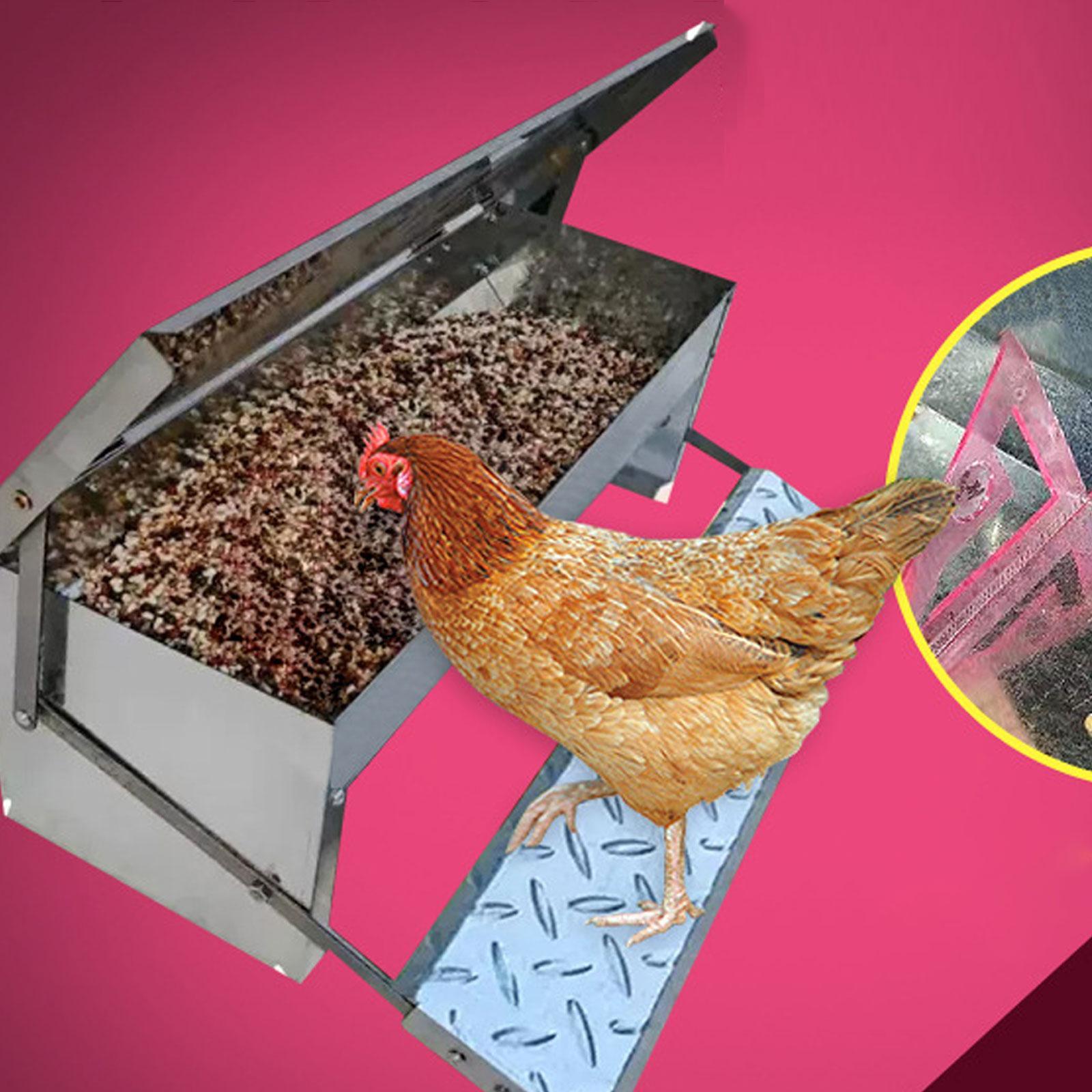 Automatic Chicken Feeder Waterproof Food Dispenser for Farms Turkey Chickens
