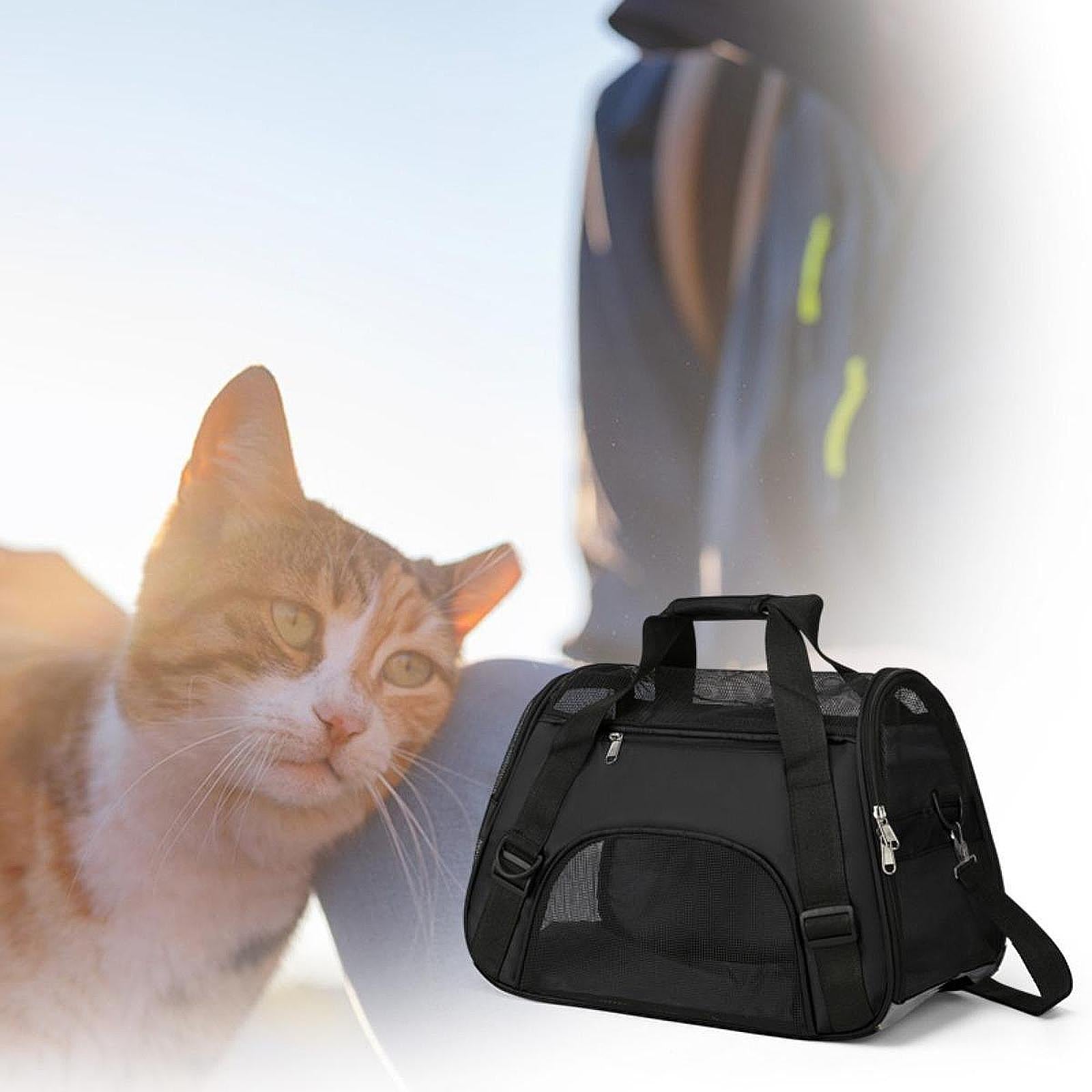 Cat Carrier Breathable Convenient Dog Carrier for Kitties Small Pets S Black