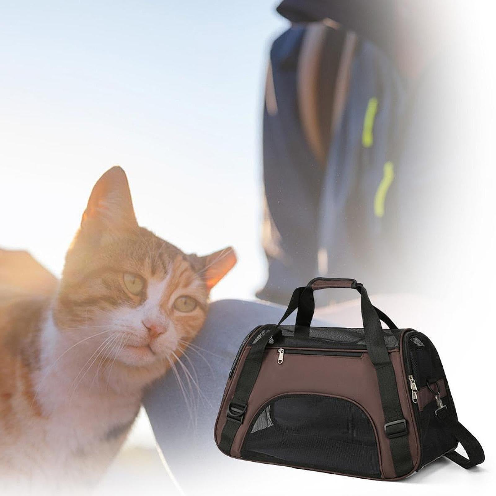 Cat Carrier Breathable Convenient Dog Carrier for Kitties Small Pets L Brown