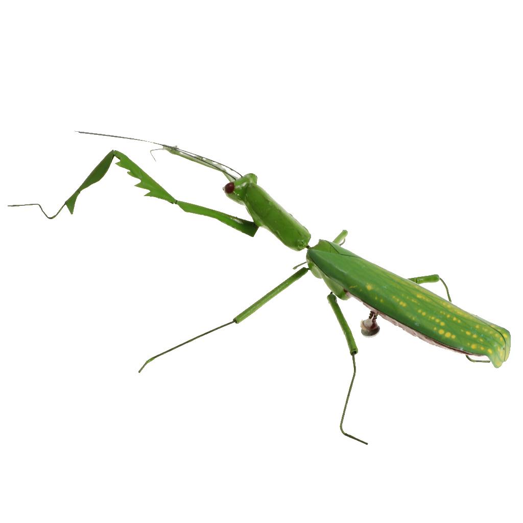 5Pcs Simulation Artificial Insect Model Kids Educative Toys Mantis