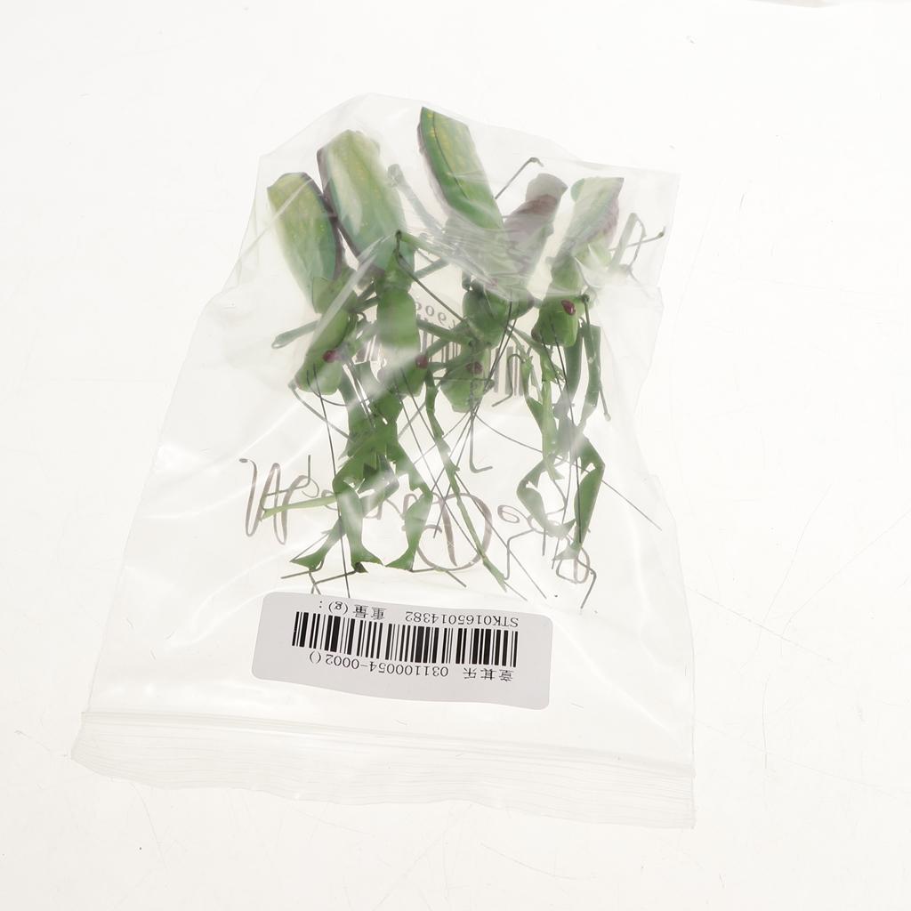 5Pcs Simulation Artificial Insect Model Kids Educative Toys Mantis