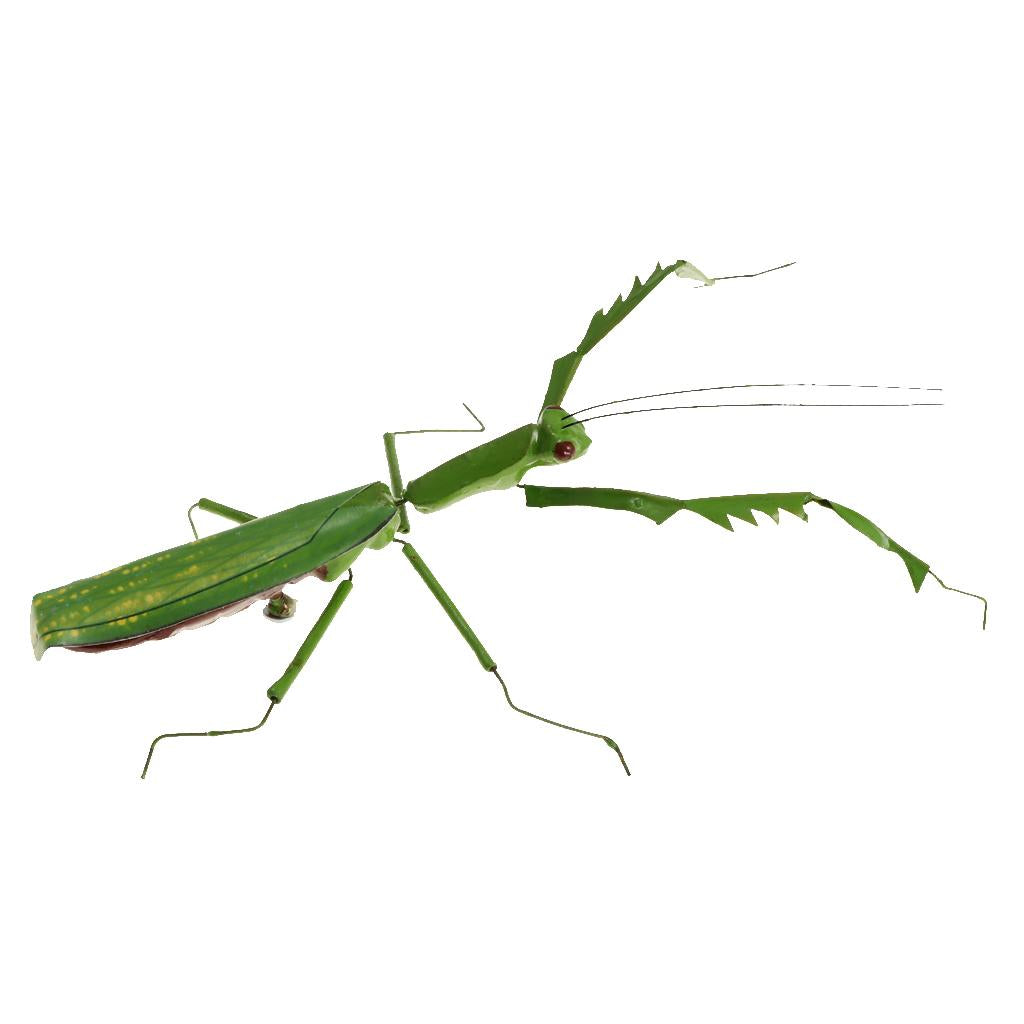 5Pcs Simulation Artificial Insect Model Kids Educative Toys Mantis