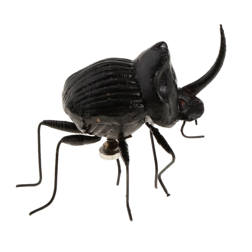 5Pcs Simulation Artificial Insect Model Kids Educative Toys Hercules beetle