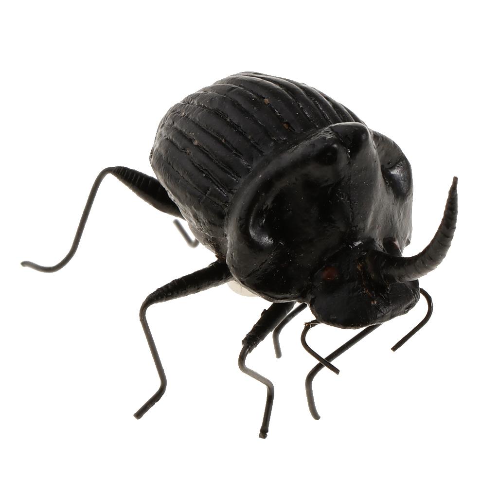 5Pcs Simulation Artificial Insect Model Kids Educative Toys Hercules beetle