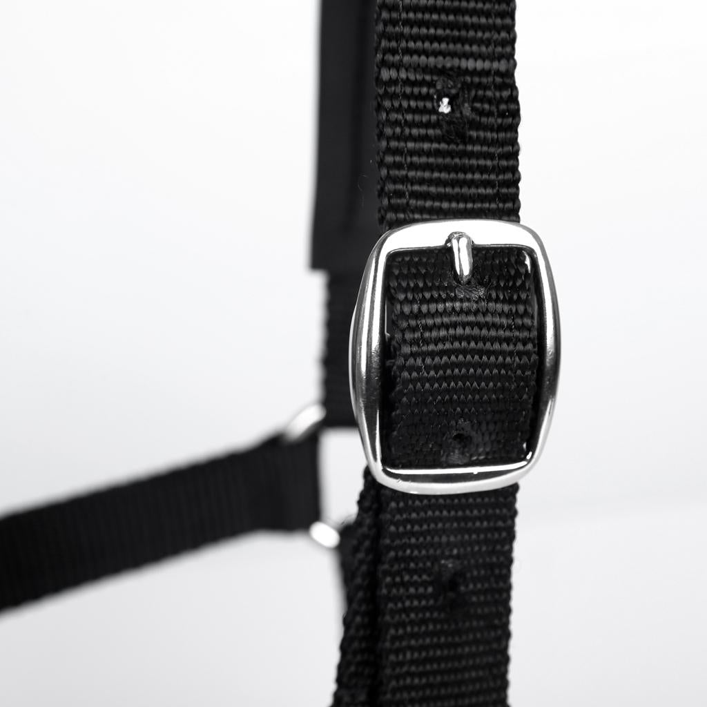 Adjustable Equestrian Western Horse Halter Fits 130 - 165cm Horse black