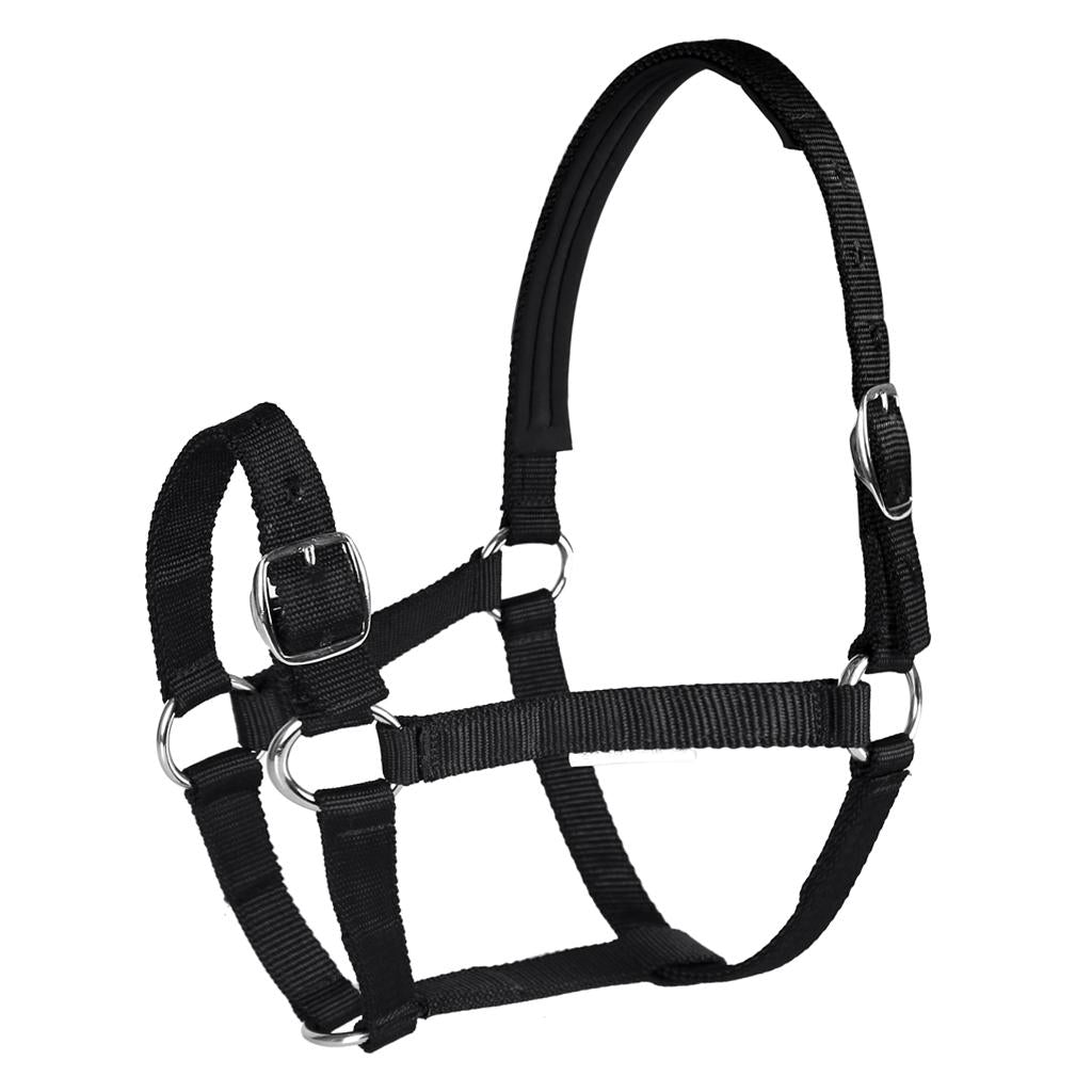 Adjustable Equestrian Western Horse Halter Fits 130 - 165cm Horse black