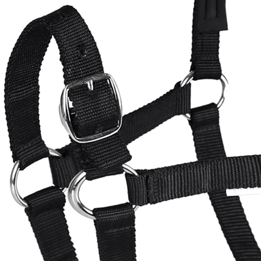 Adjustable Equestrian Western Horse Halter Fits 130 - 165cm Horse black