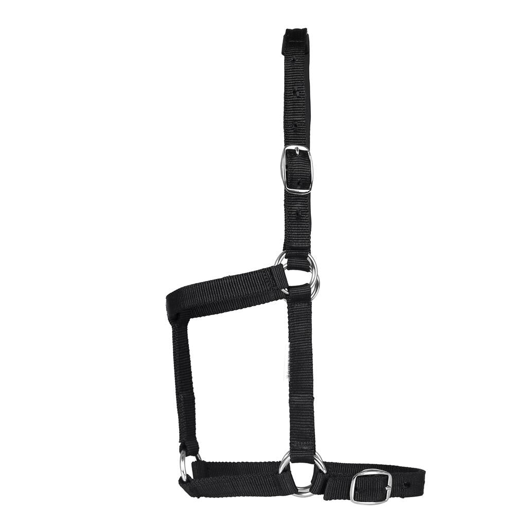 Adjustable Equestrian Western Horse Halter Fits 130 - 165cm Horse black