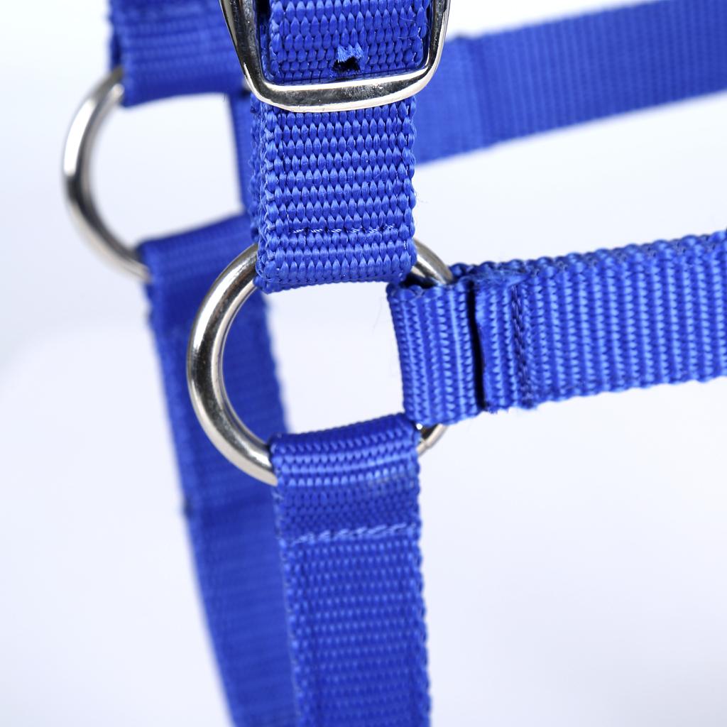Adjustable Equestrian Western Horse Halter Fits 130 - 165cm Horse blue