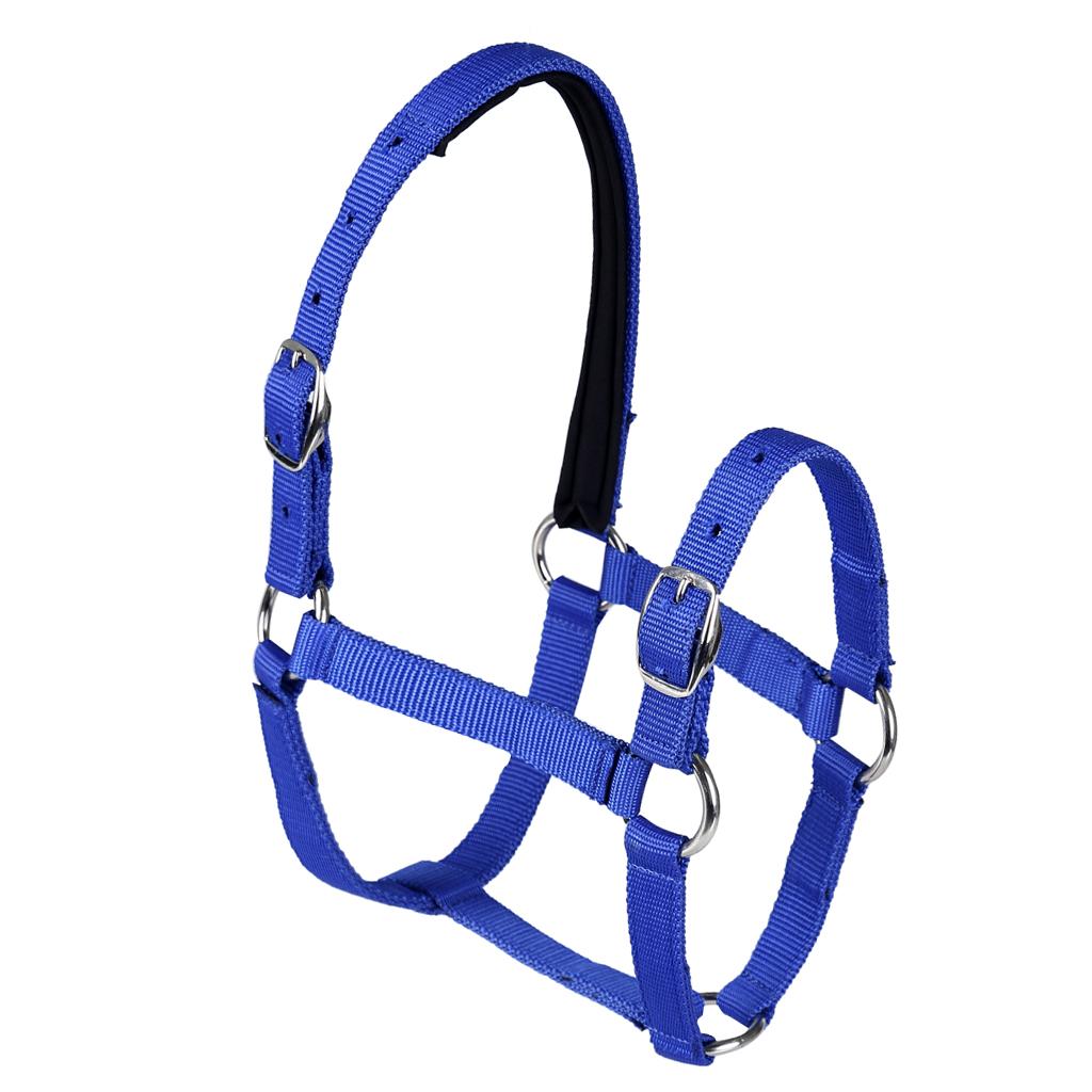 Adjustable Equestrian Western Horse Halter Fits 130 - 165cm Horse blue
