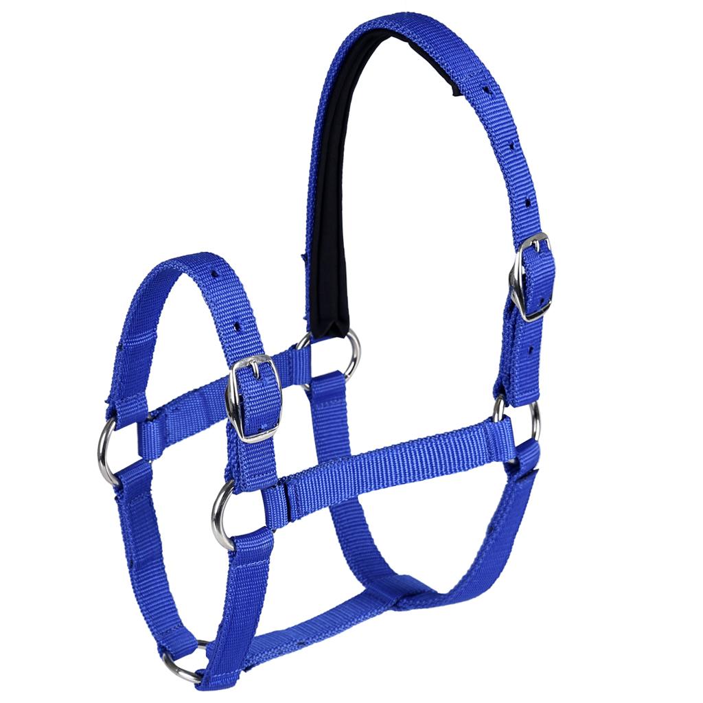 Adjustable Equestrian Western Horse Halter Fits 130 - 165cm Horse blue