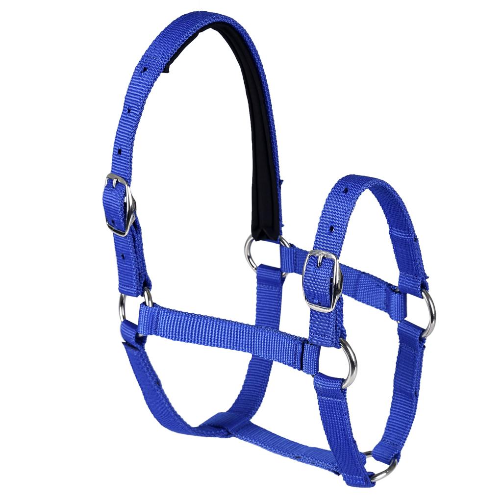 Adjustable Equestrian Western Horse Halter Fits 130 - 165cm Horse blue