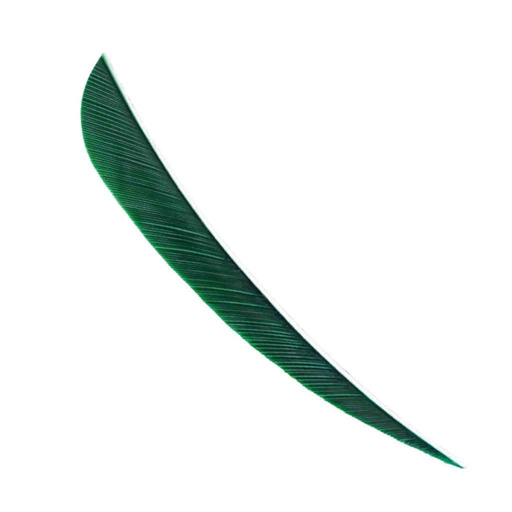 12 Pieces Archery Hunting Arrow Feather Fletching Right Wing Fletches 4 inch Dark Green