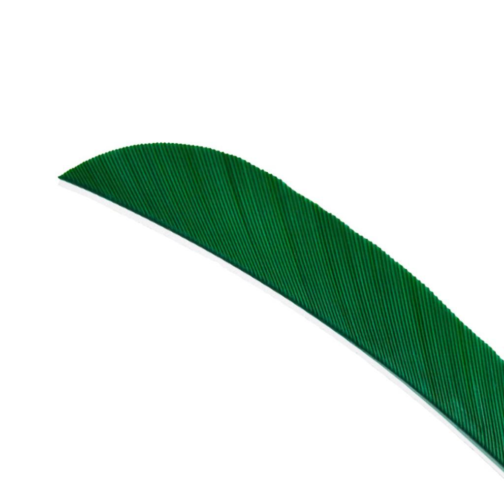 12 Pieces Archery Hunting Arrow Feather Fletching Right Wing Fletches 4 inch Dark Green