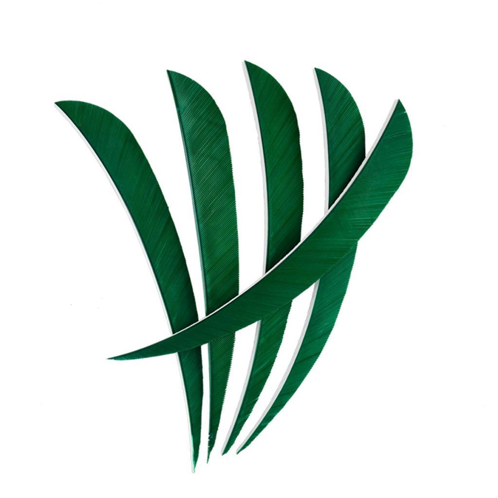 12 Pieces Archery Hunting Arrow Feather Fletching Right Wing Fletches 4 inch Dark Green