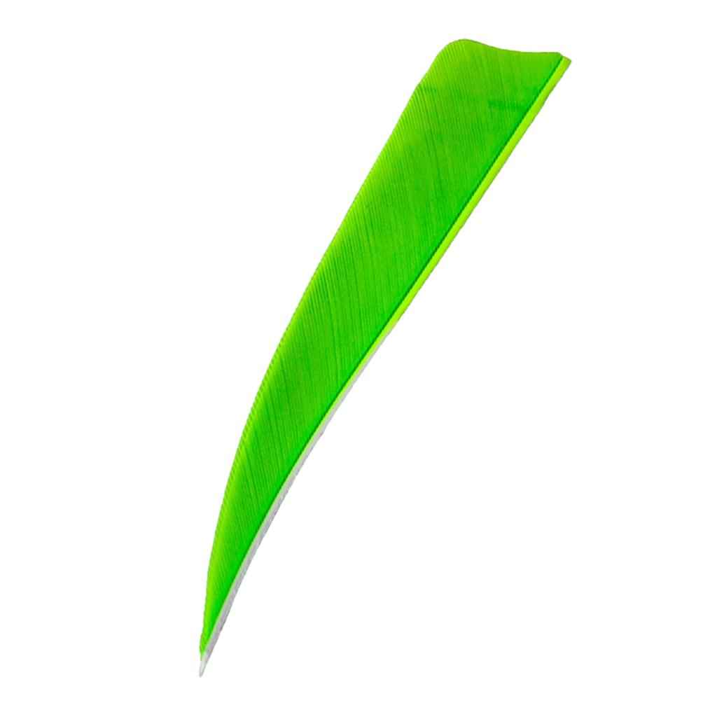 12 Pieces 4 Inch Archery Arrow Feathers Fletchings Vanes Fluorescent Green
