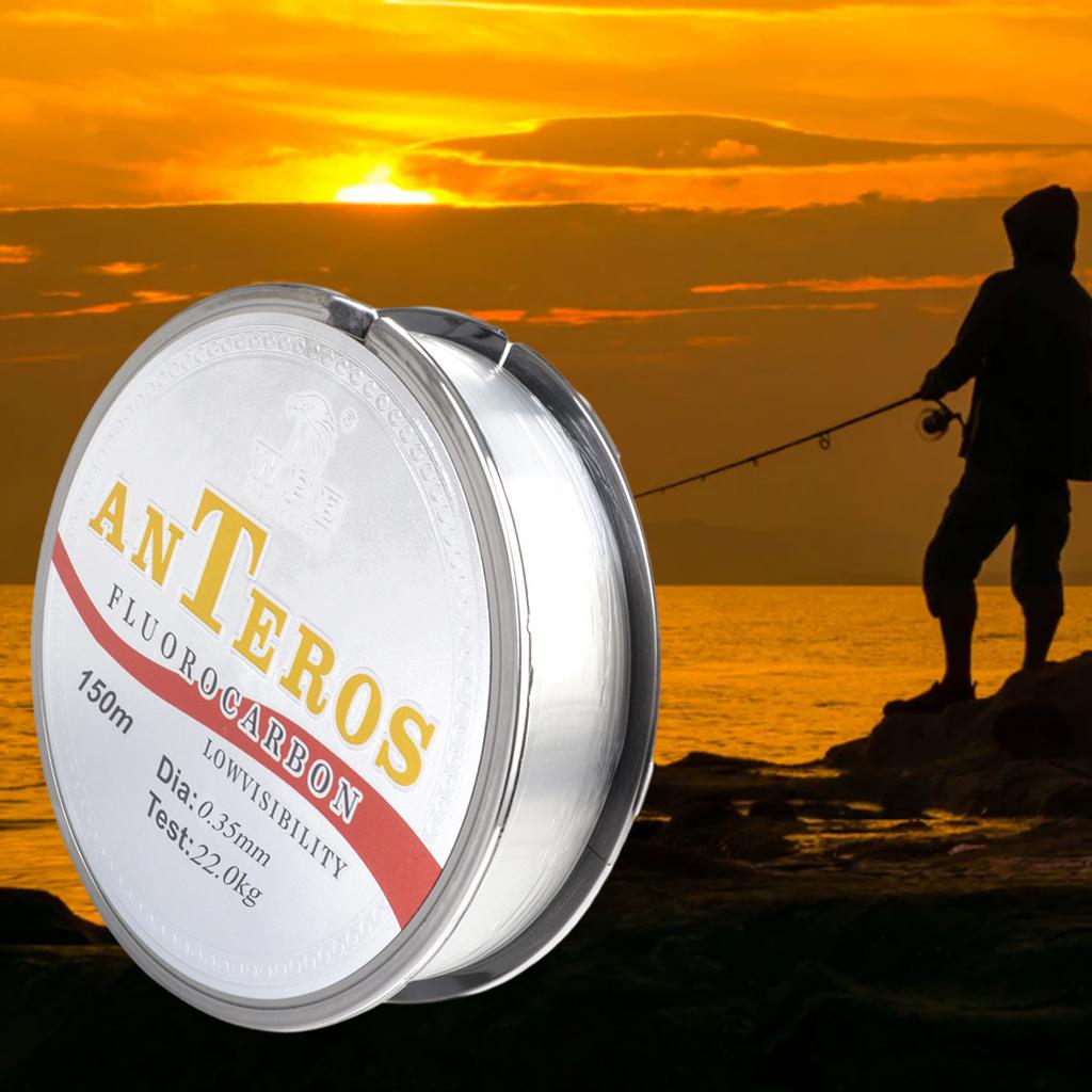 4xFluorocarbon Fishing Line Leader Line Low Stretch for Trout Carp 0.35 49lb