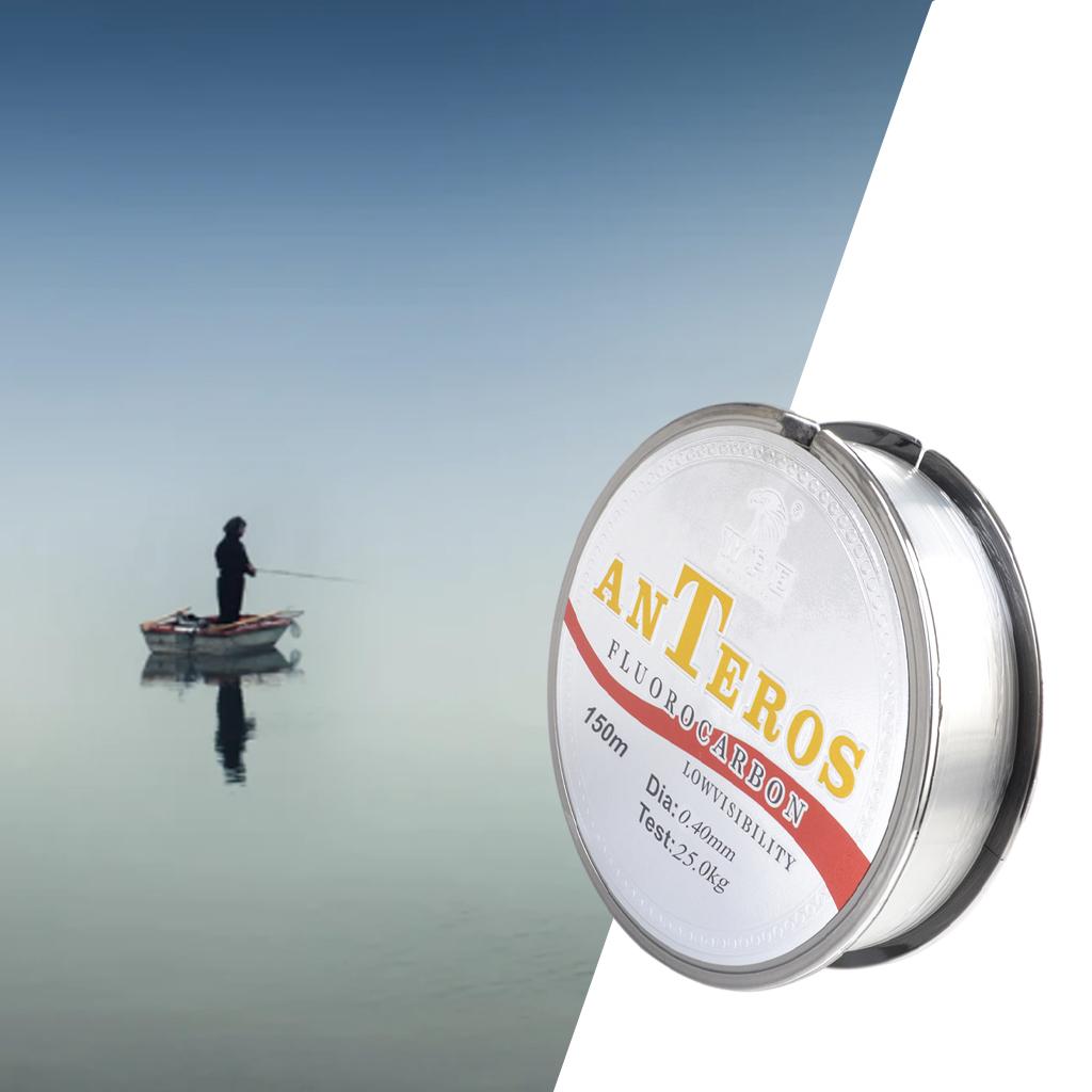 4xFluorocarbon Fishing Line Leader Line Low Stretch for Trout Carp 0.4 55lb