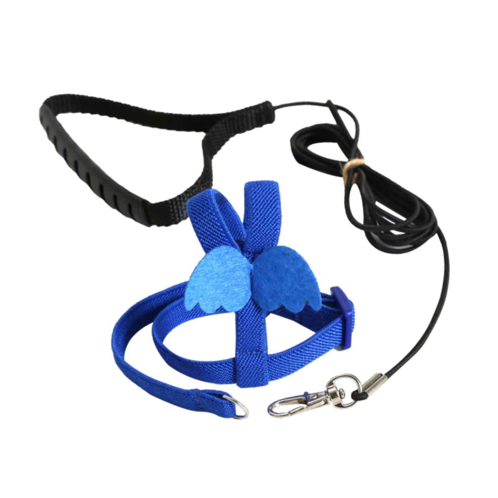Bird Harness and Leash Training Rope for Conures Budgie Small Parrots Pigeon Blue XS
