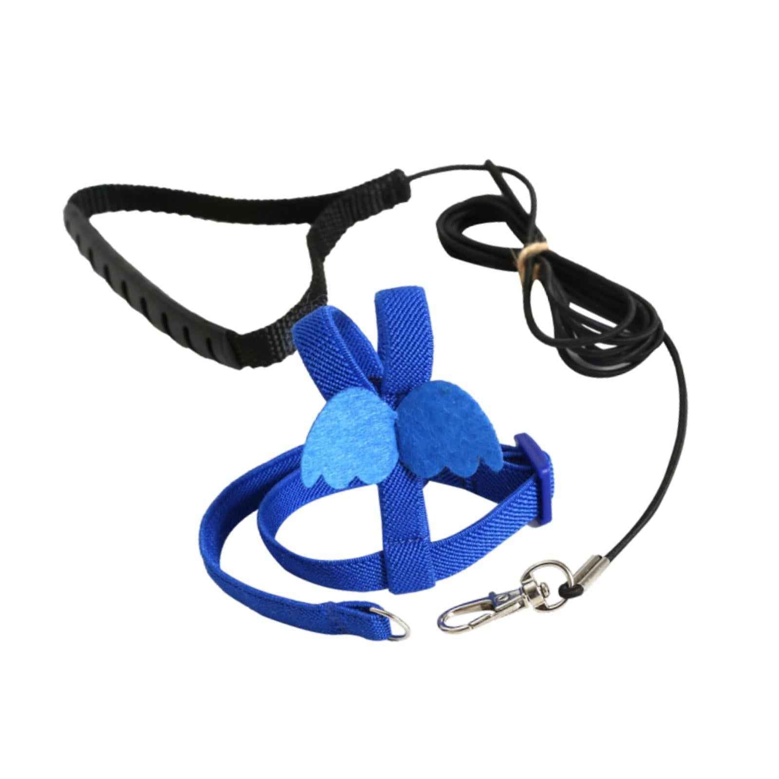 Bird Harness and Leash Training Rope for Conures Budgie Small Parrots Pigeon Blue XS