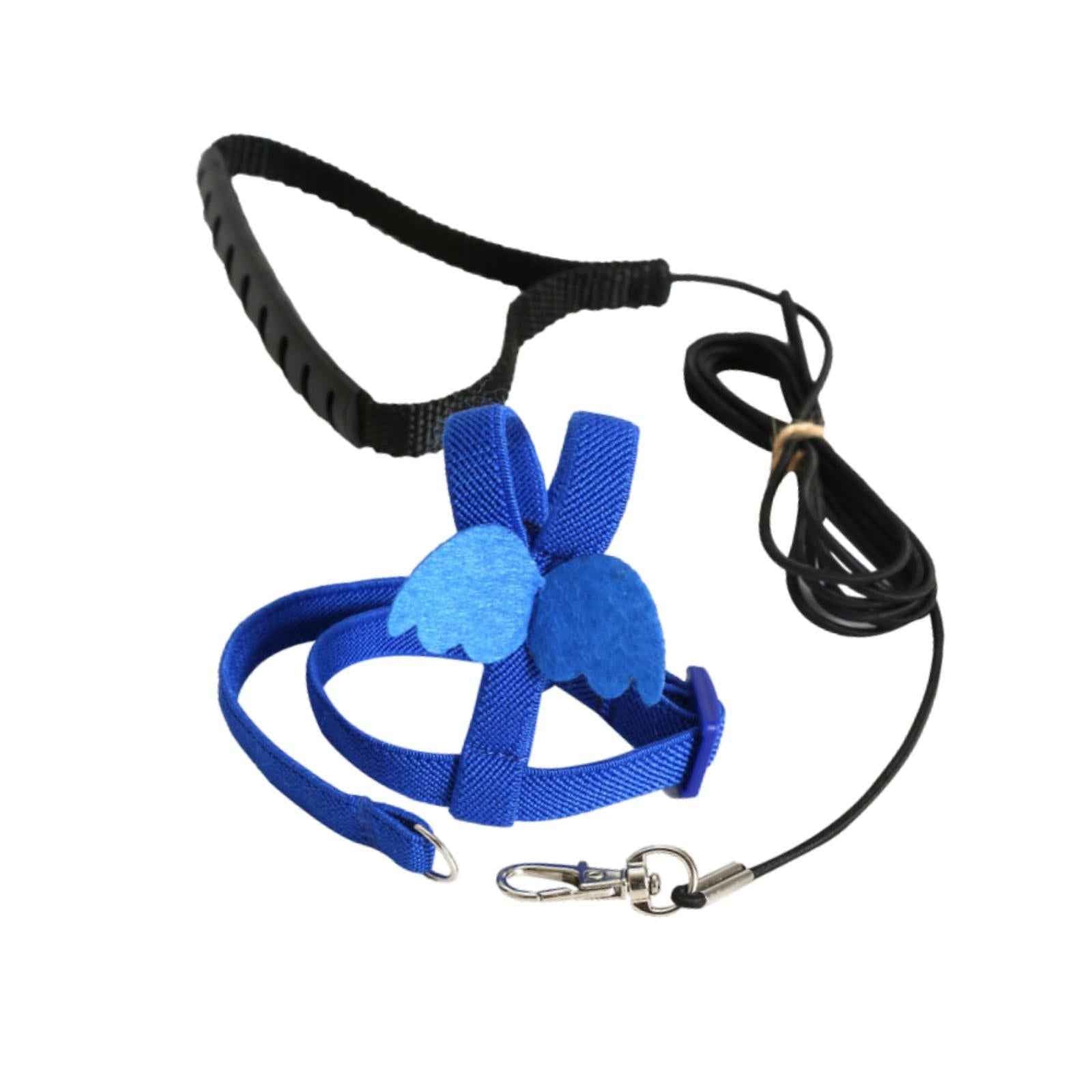 Bird Harness and Leash Training Rope for Conures Budgie Small Parrots Pigeon Blue XS