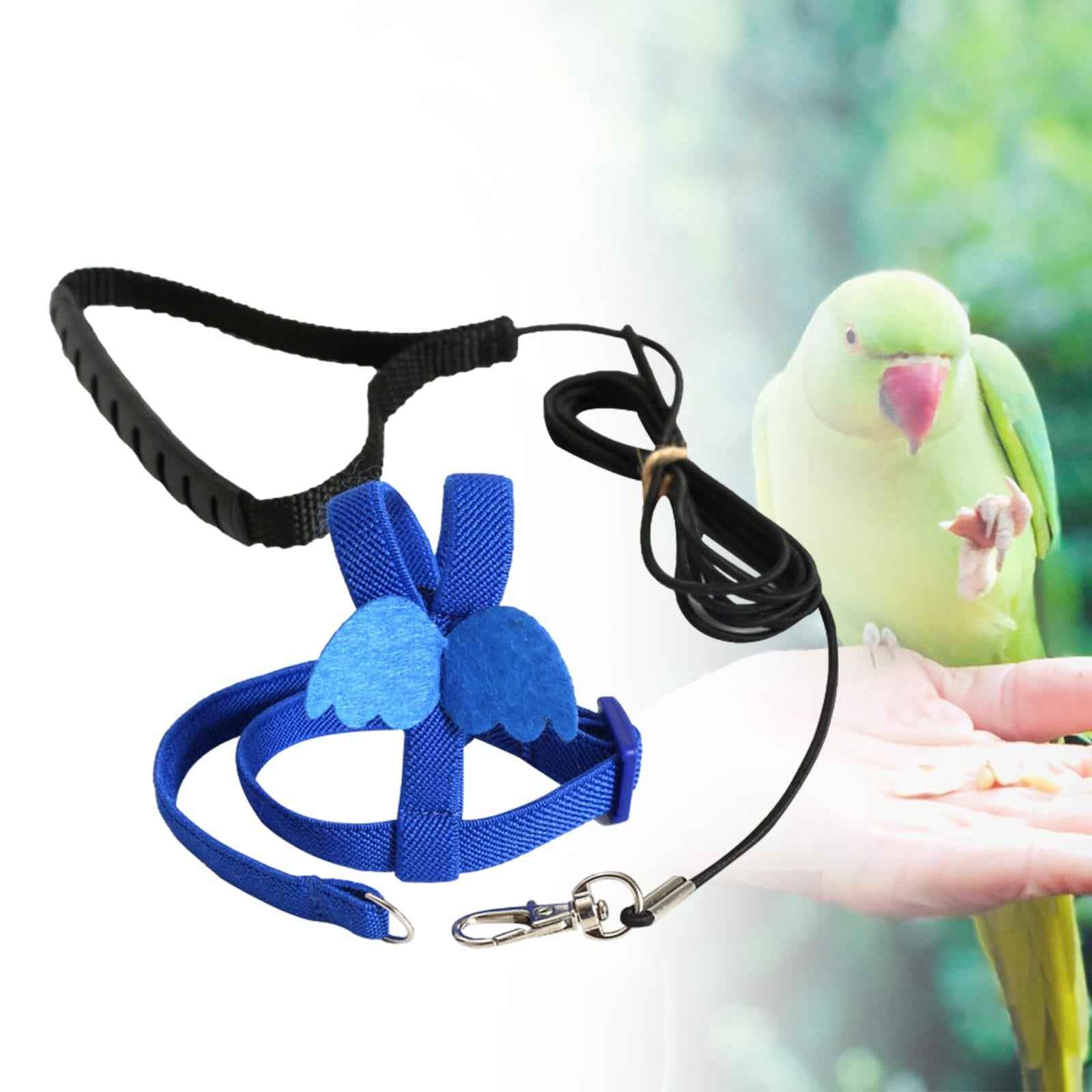 Bird Harness and Leash Training Rope for Conures Budgie Small Parrots Pigeon Blue XS