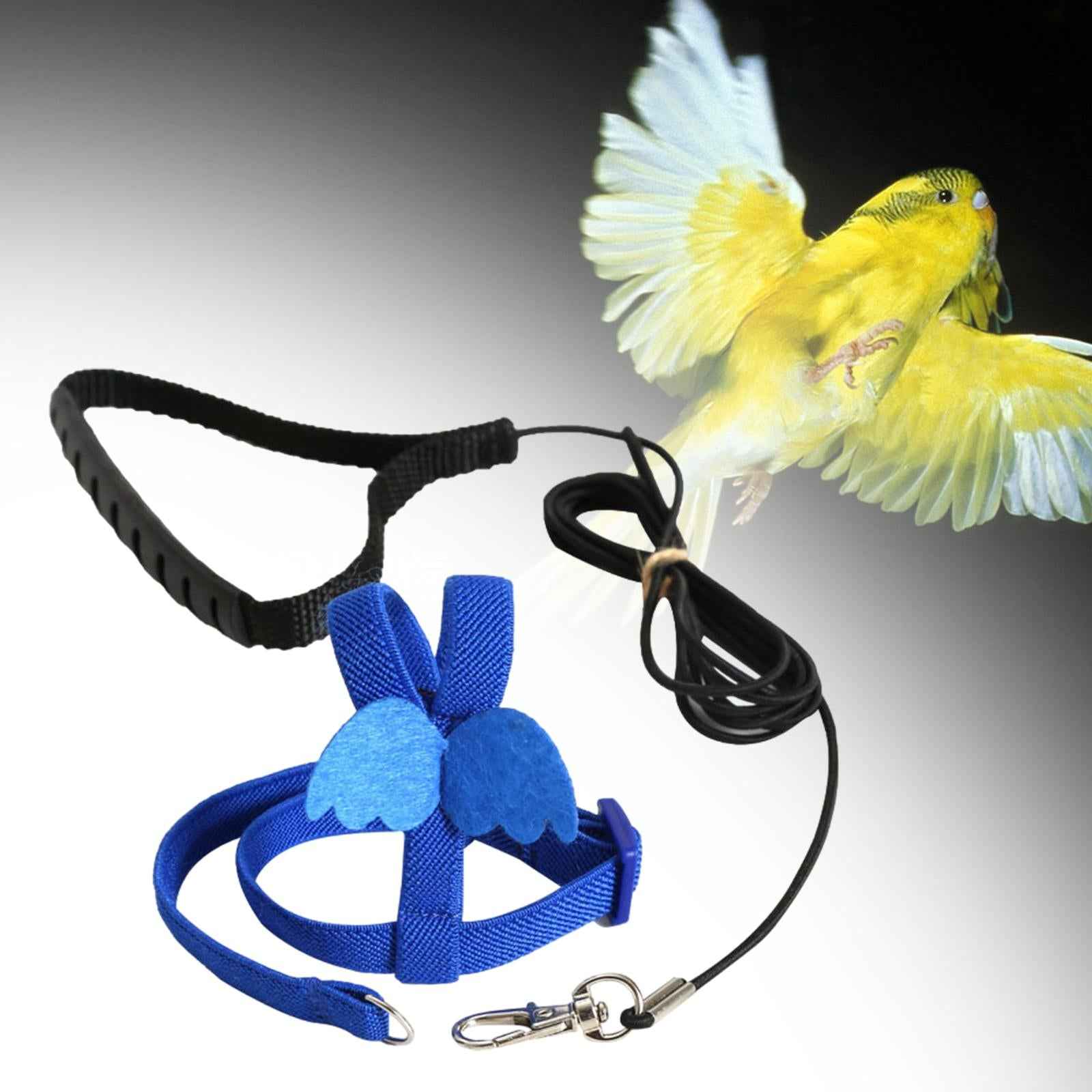 Bird Harness and Leash Training Rope for Conures Budgie Small Parrots Pigeon Blue XS
