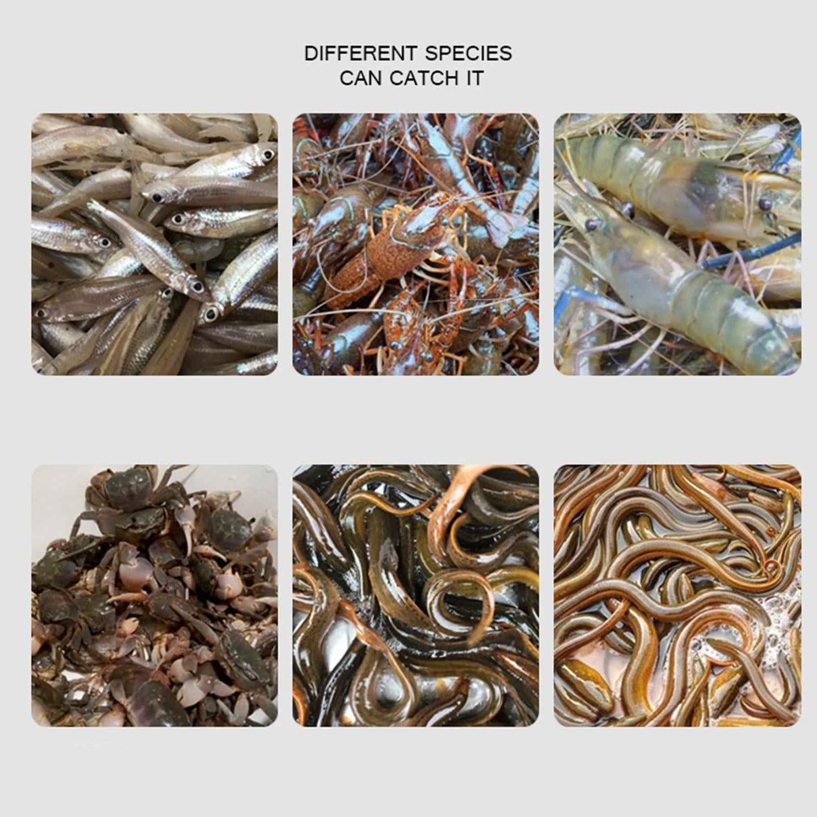 Crab Catching Net River Prawn Eel Catcher for Freshwater Rivers Lakes Fisher Black