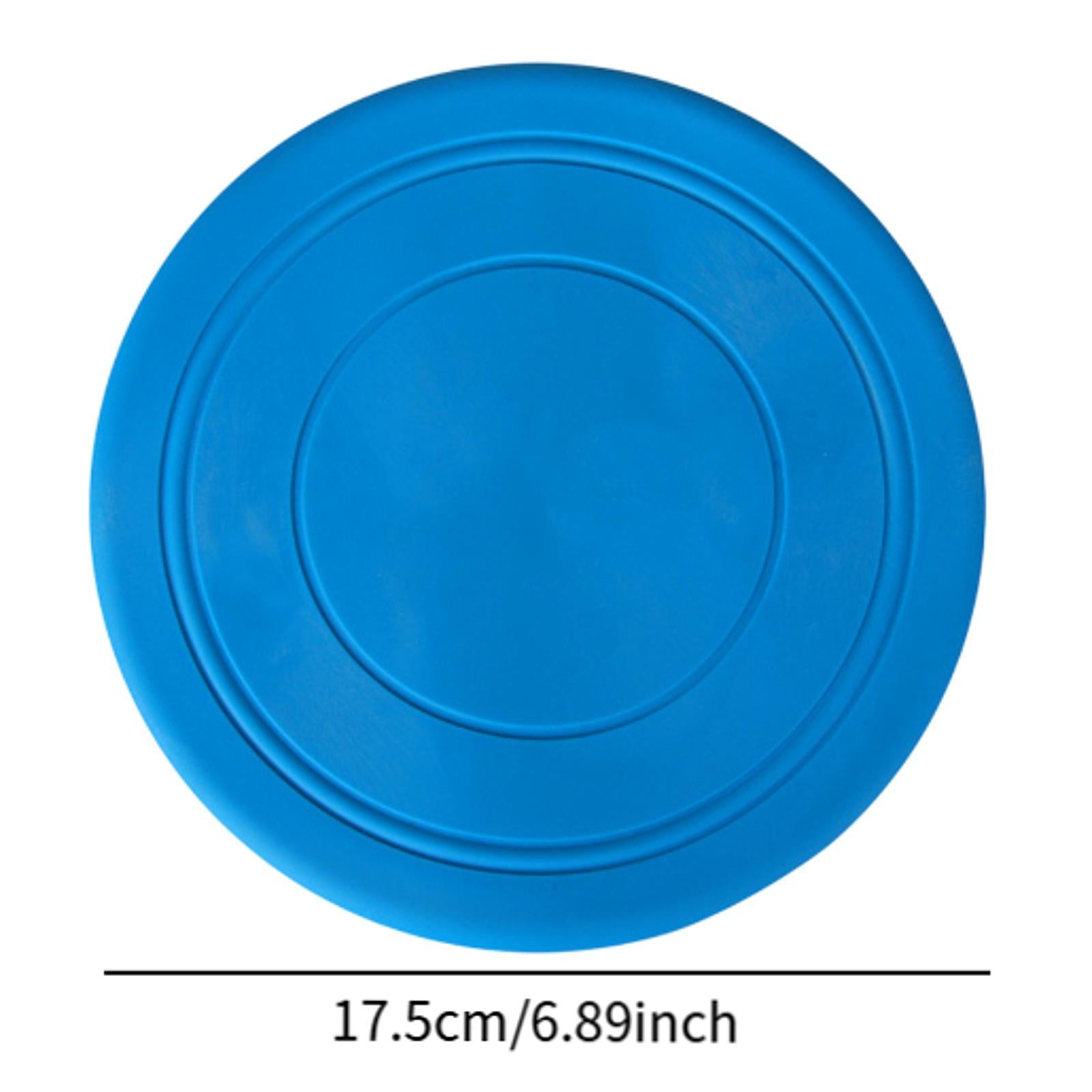 2Pcs Kids Flying Discs Outdoor Children Playing for Picnic Background Garden Blue