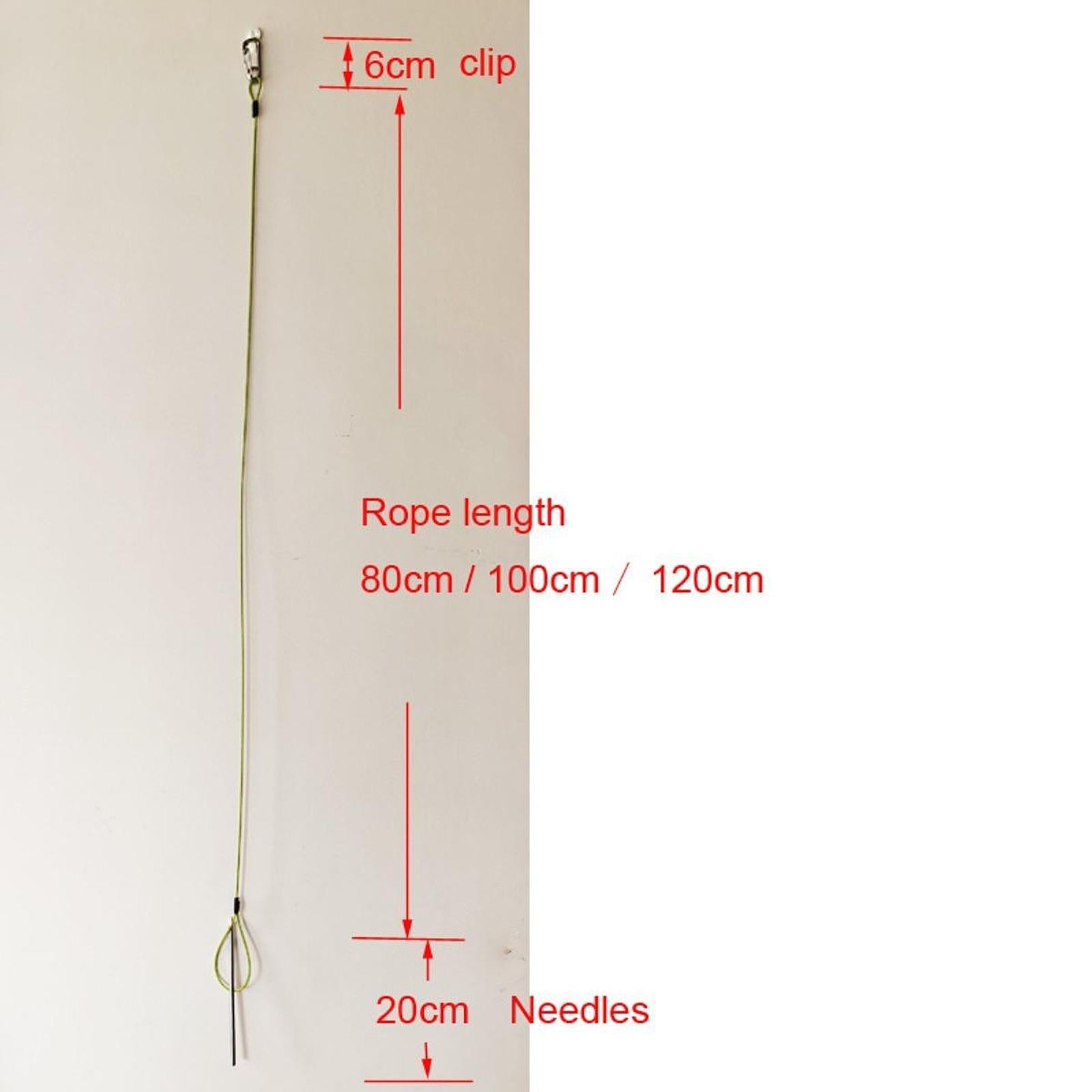 Float Fish Stringer Sturdy for Spearfishing for Saltwater Freshwater Snapper rope length  80CM